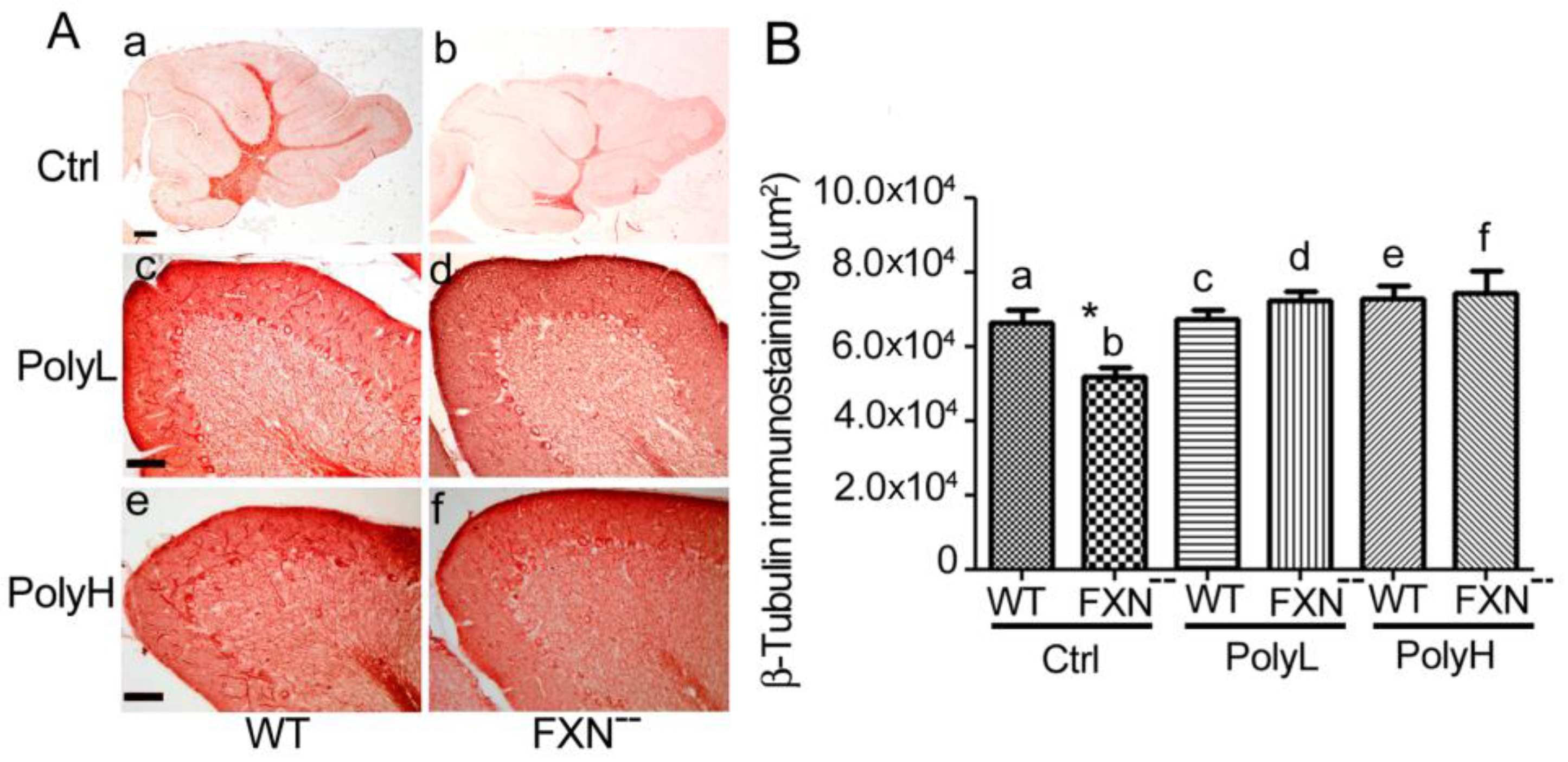 Molecules 25 04085 g002