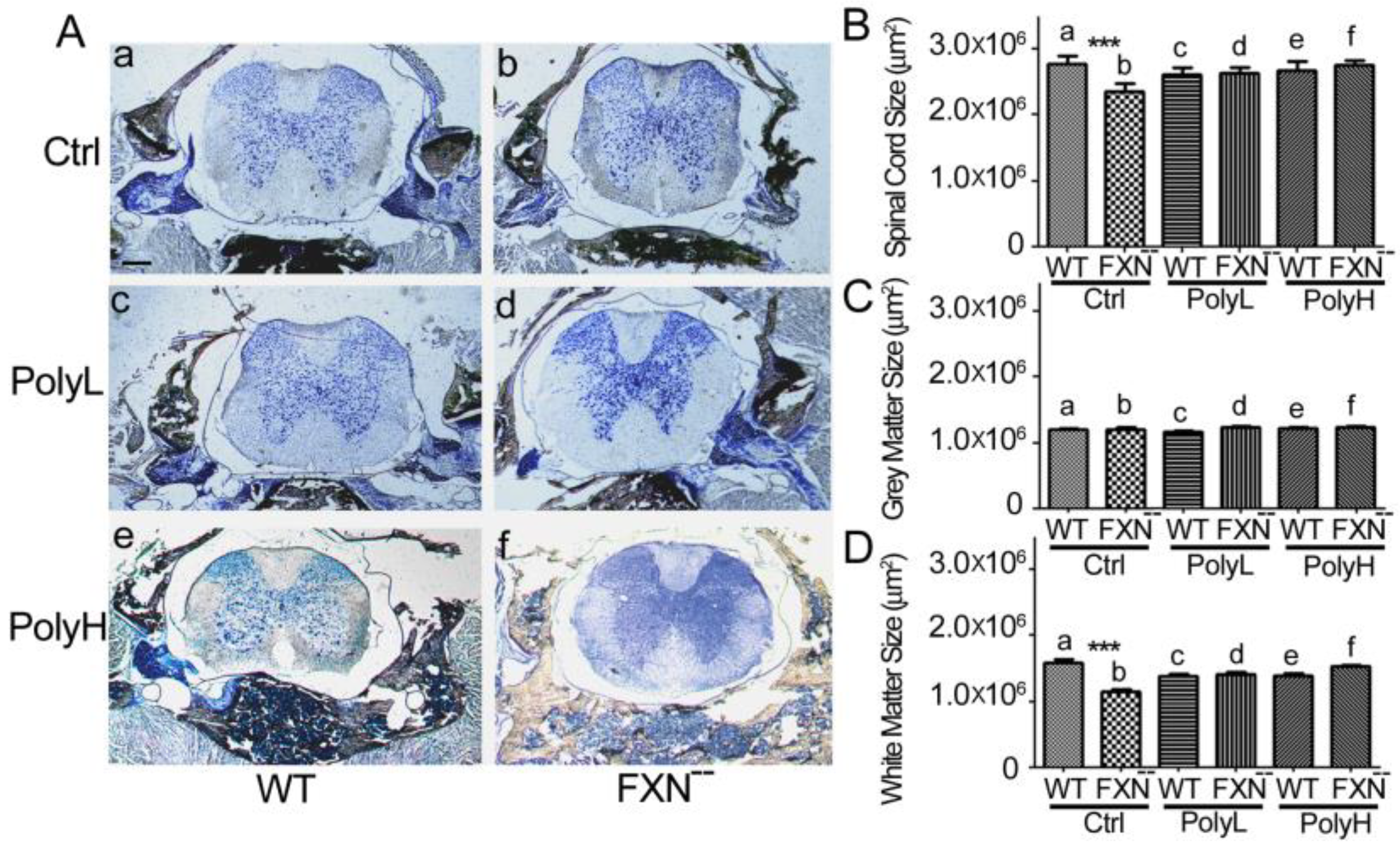 Molecules 25 04085 g003