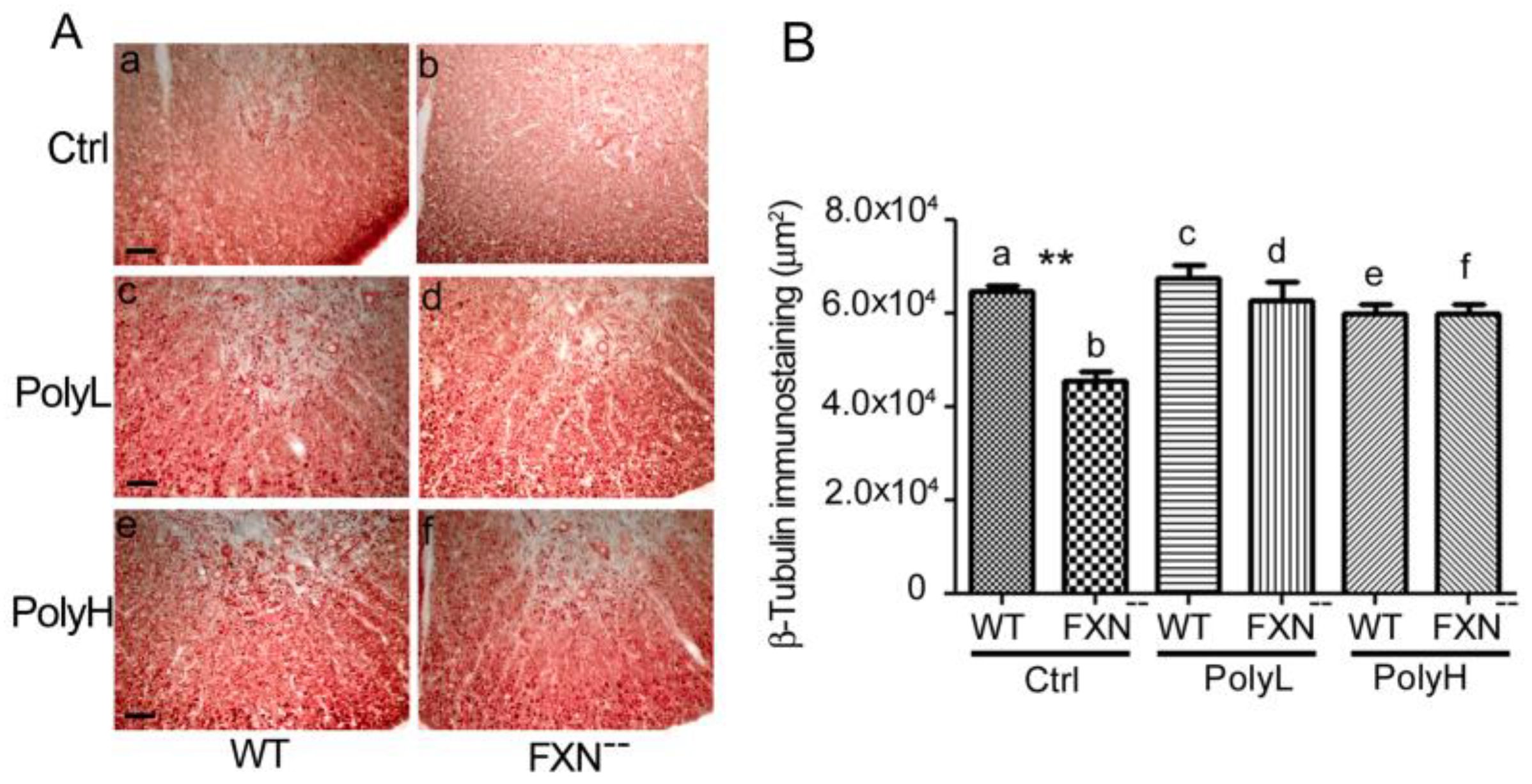 Molecules 25 04085 g005