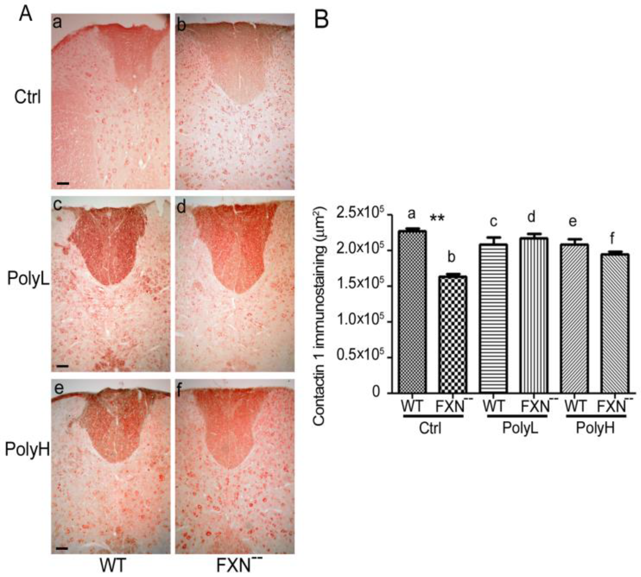 Molecules 25 04085 g006