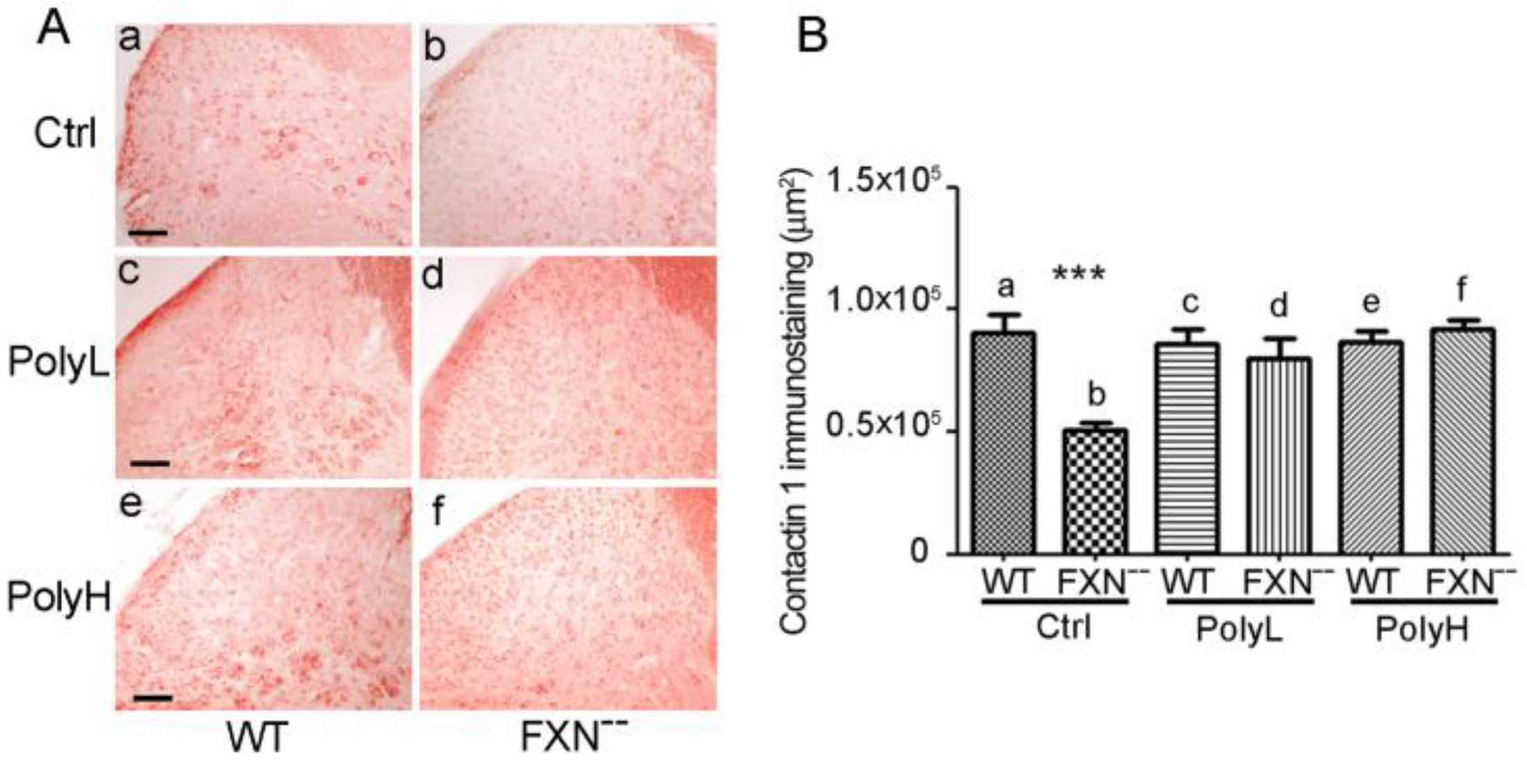 Molecules 25 04085 g007