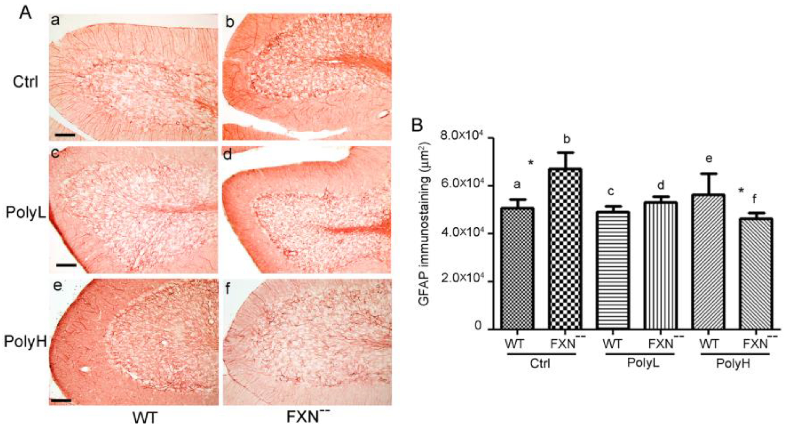 Molecules 25 04085 g008