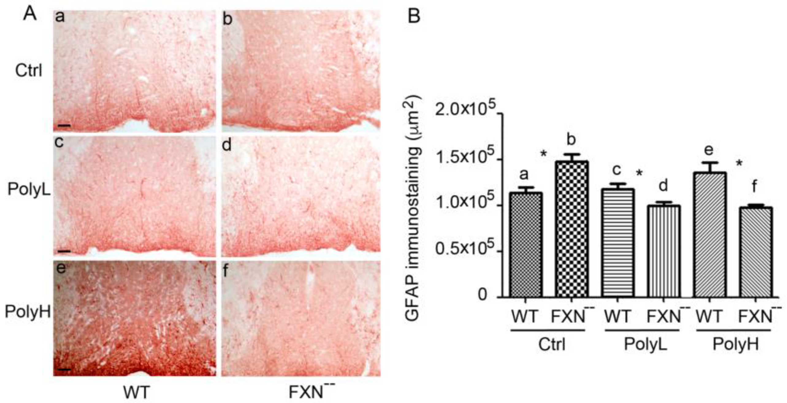 Molecules 25 04085 g009