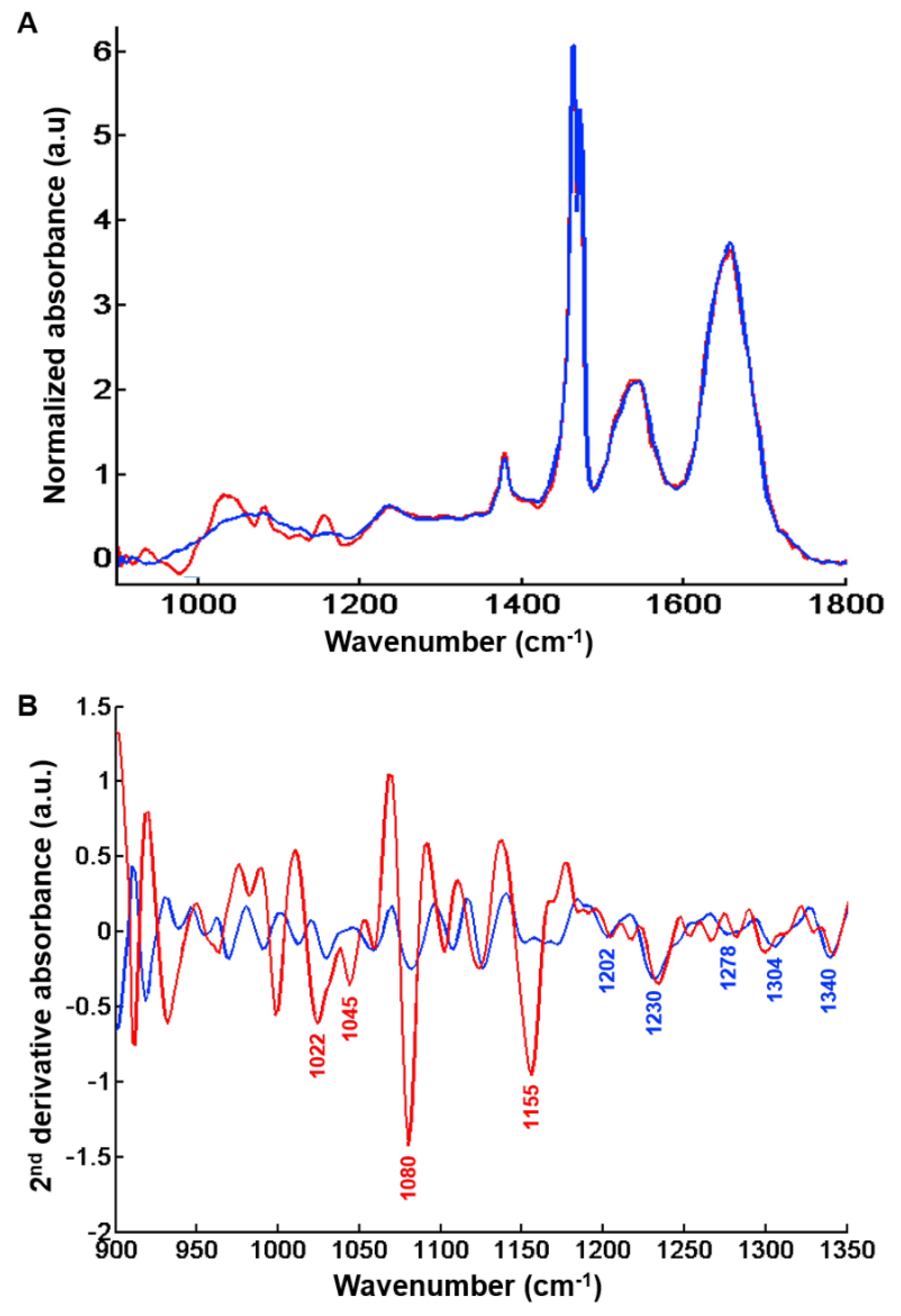 Molecules 25 04092 g005 Molecules 25 04092 g005