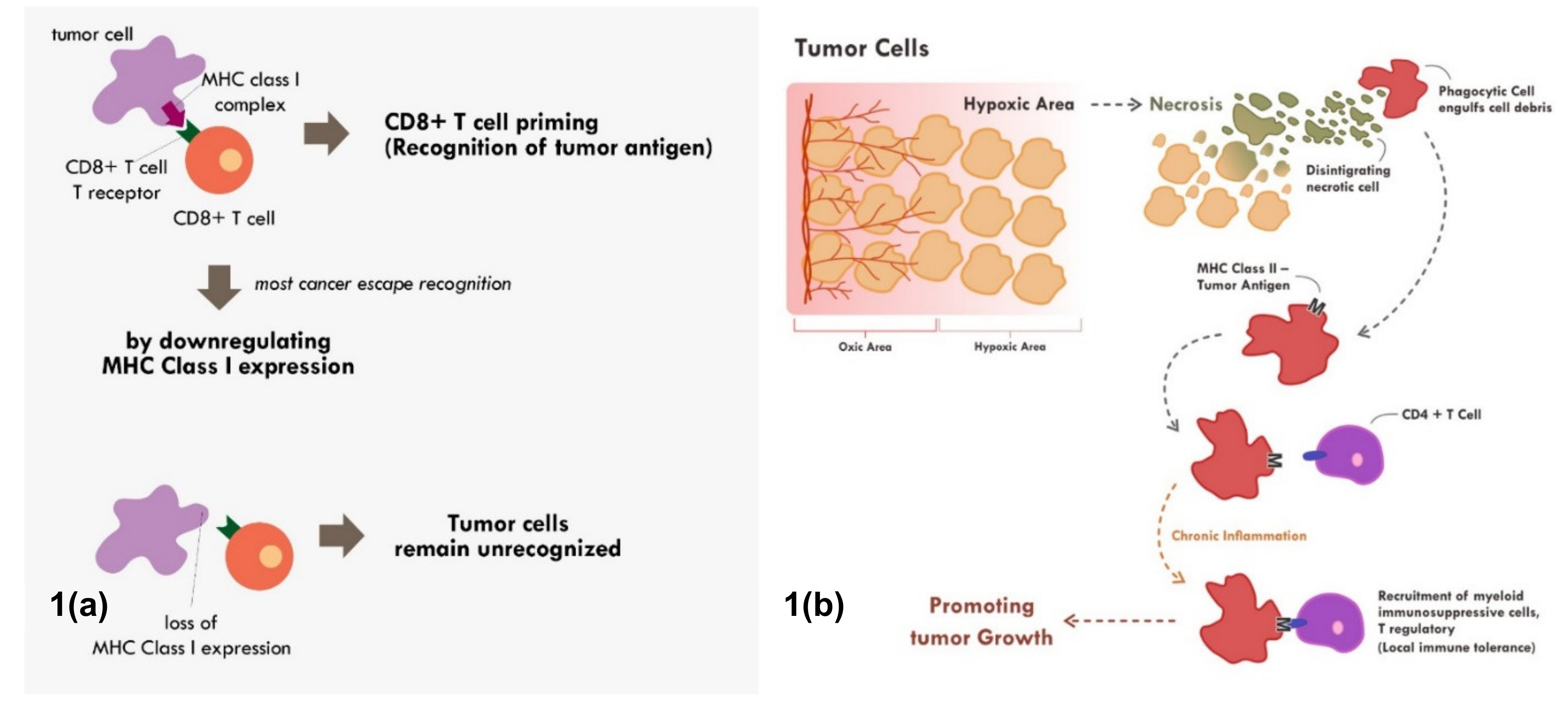 Molecules 25 04096 g001 Molecules 25 04096 g001