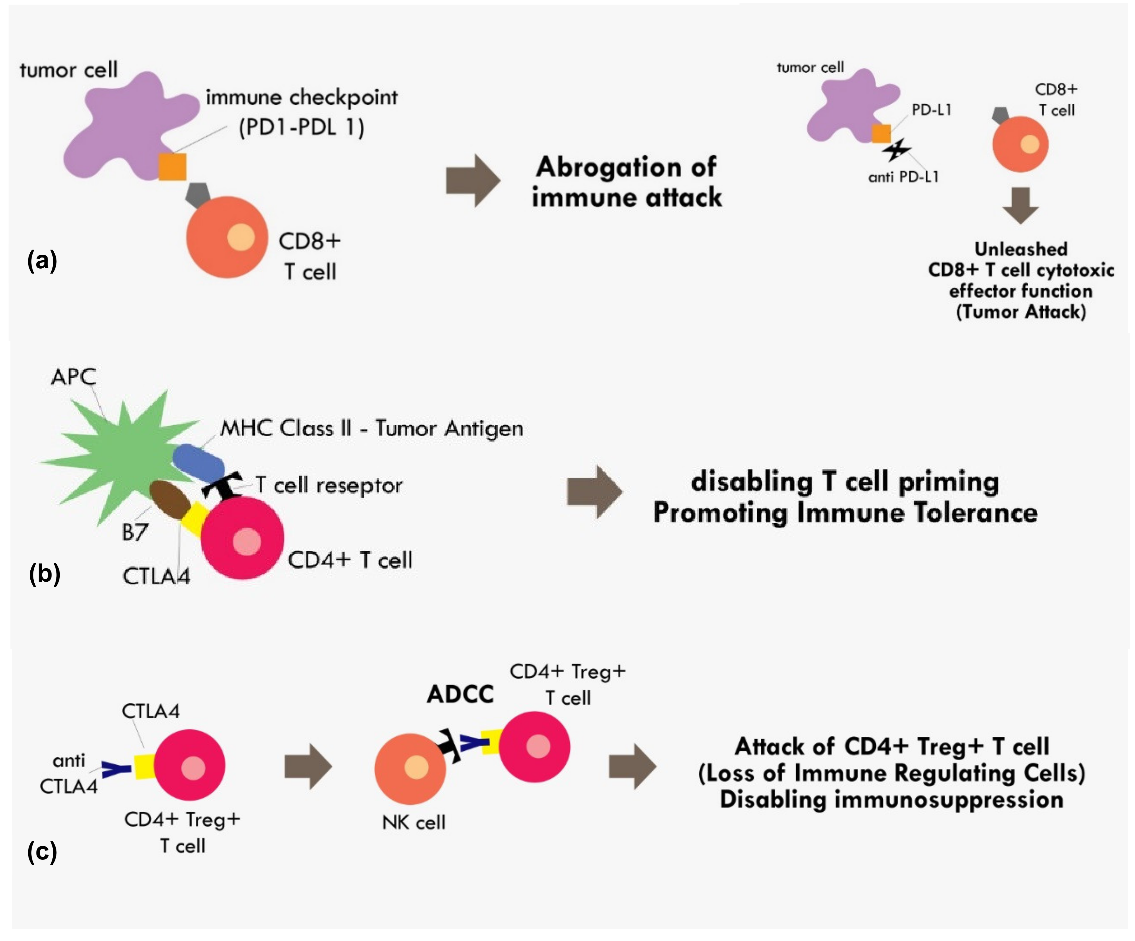 Molecules 25 04096 g002 Molecules 25 04096 g002