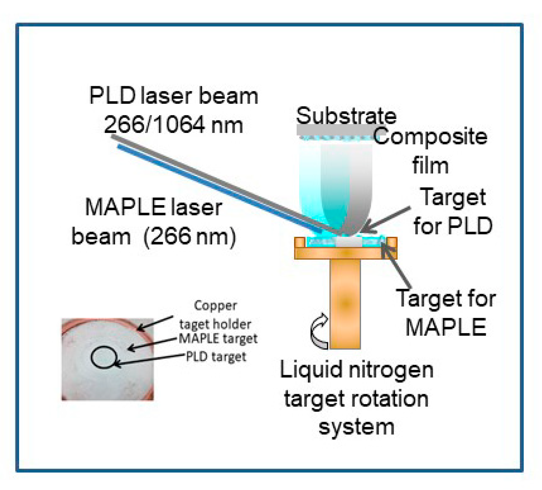 Molecules 25 04097 g001