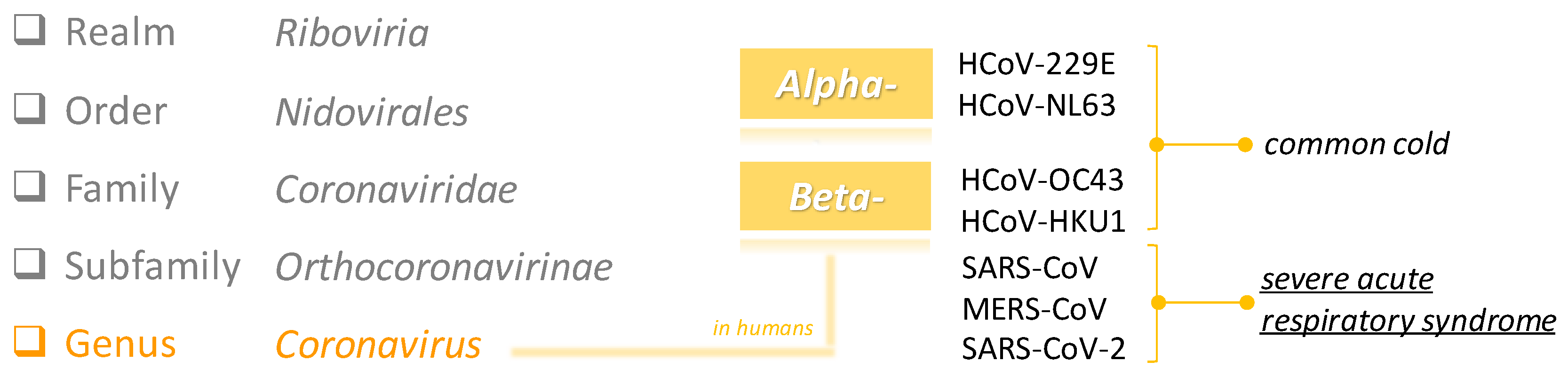 Molecules 25 04103 g002