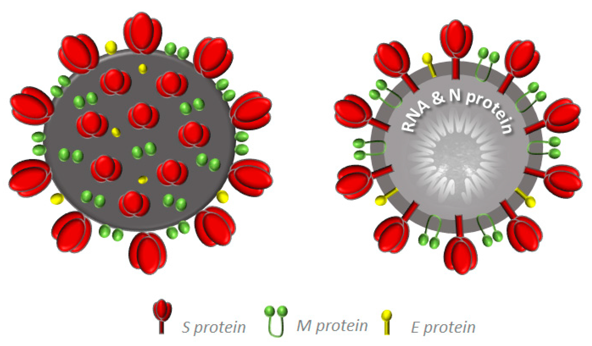 Molecules 25 04103 g003