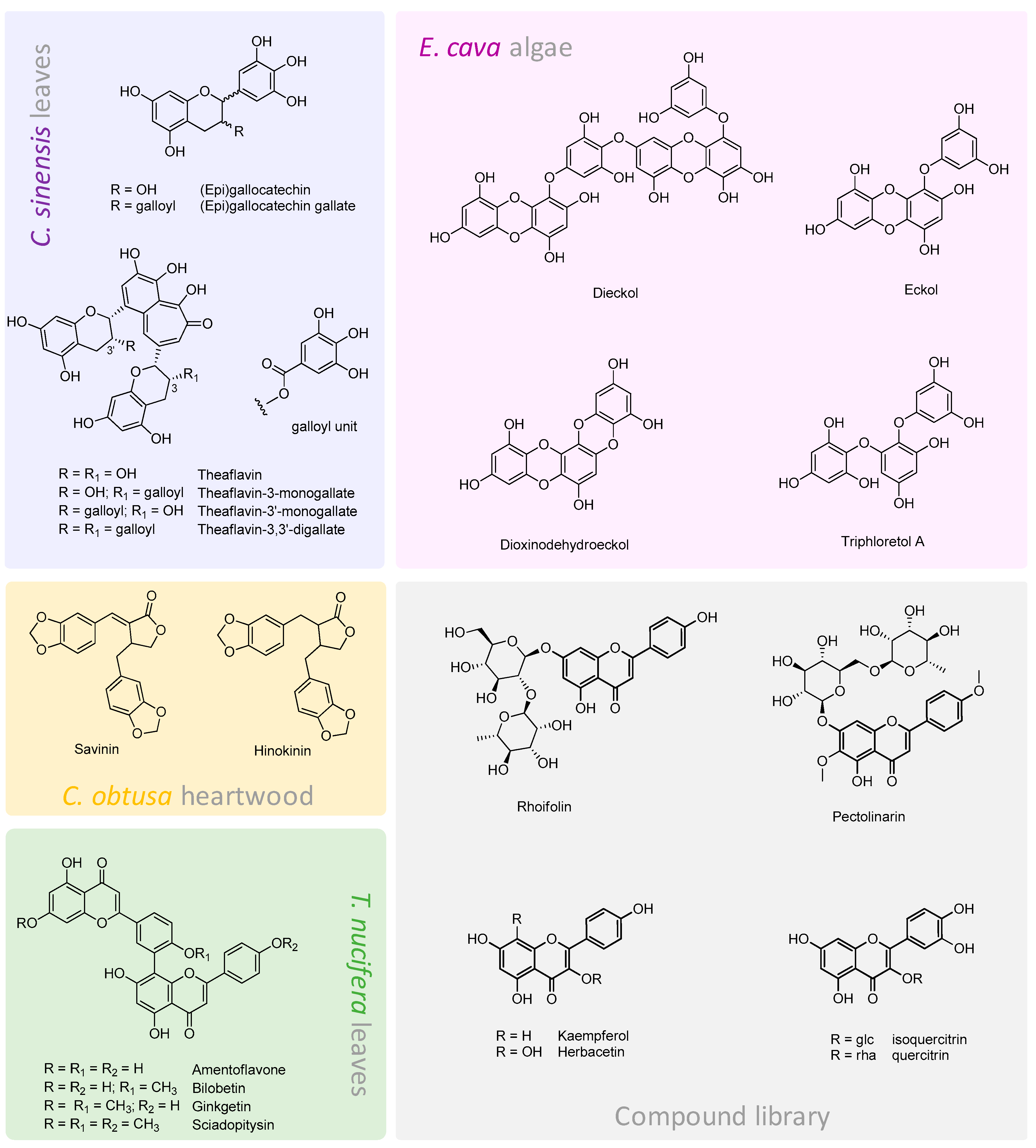 Molecules 25 04103 g007