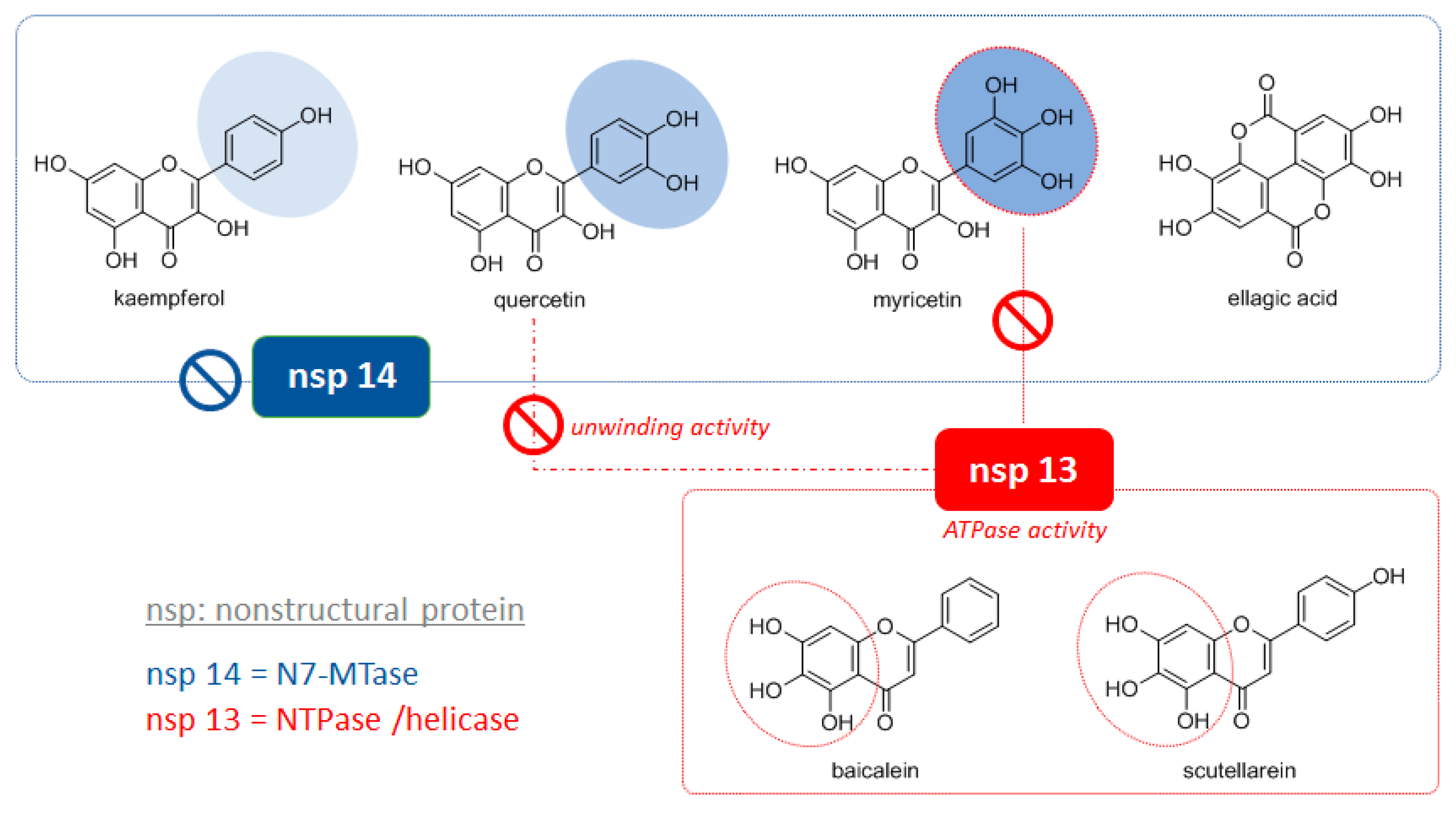 Molecules 25 04103 g008