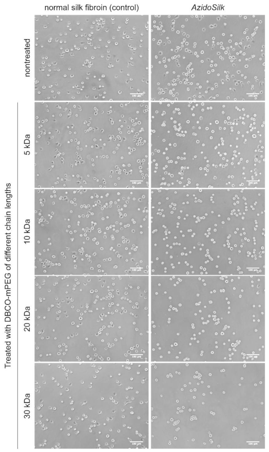 Molecules 25 04106 g003