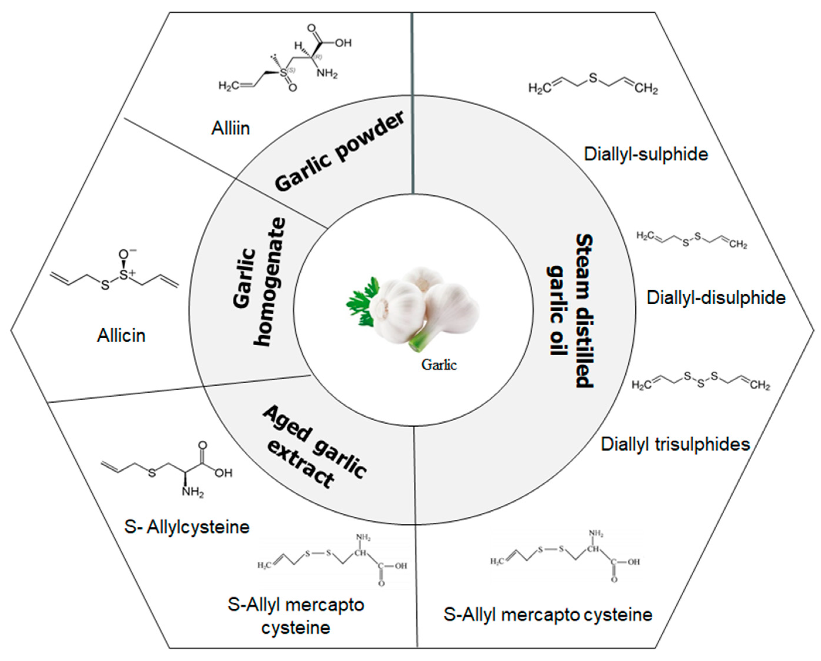 Molecules 25 04111 g002 Molecules 25 04111 g002