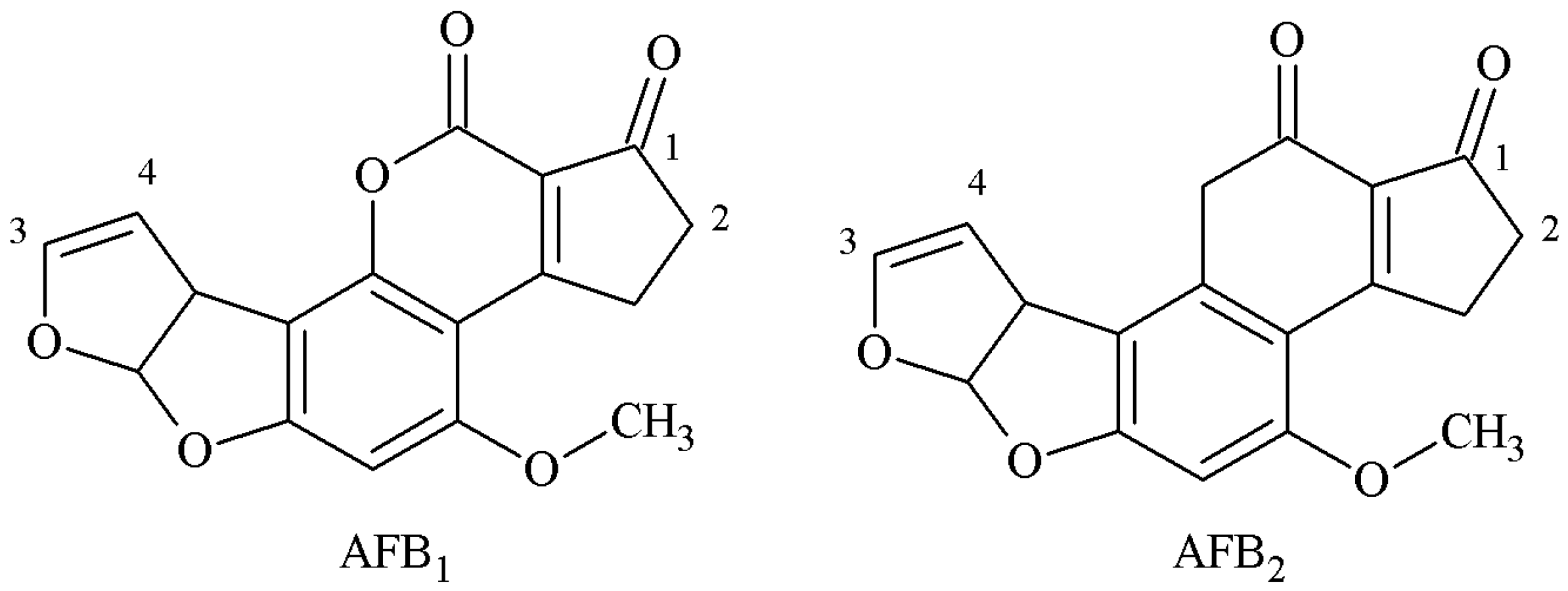 Molecules 25 04113 g001