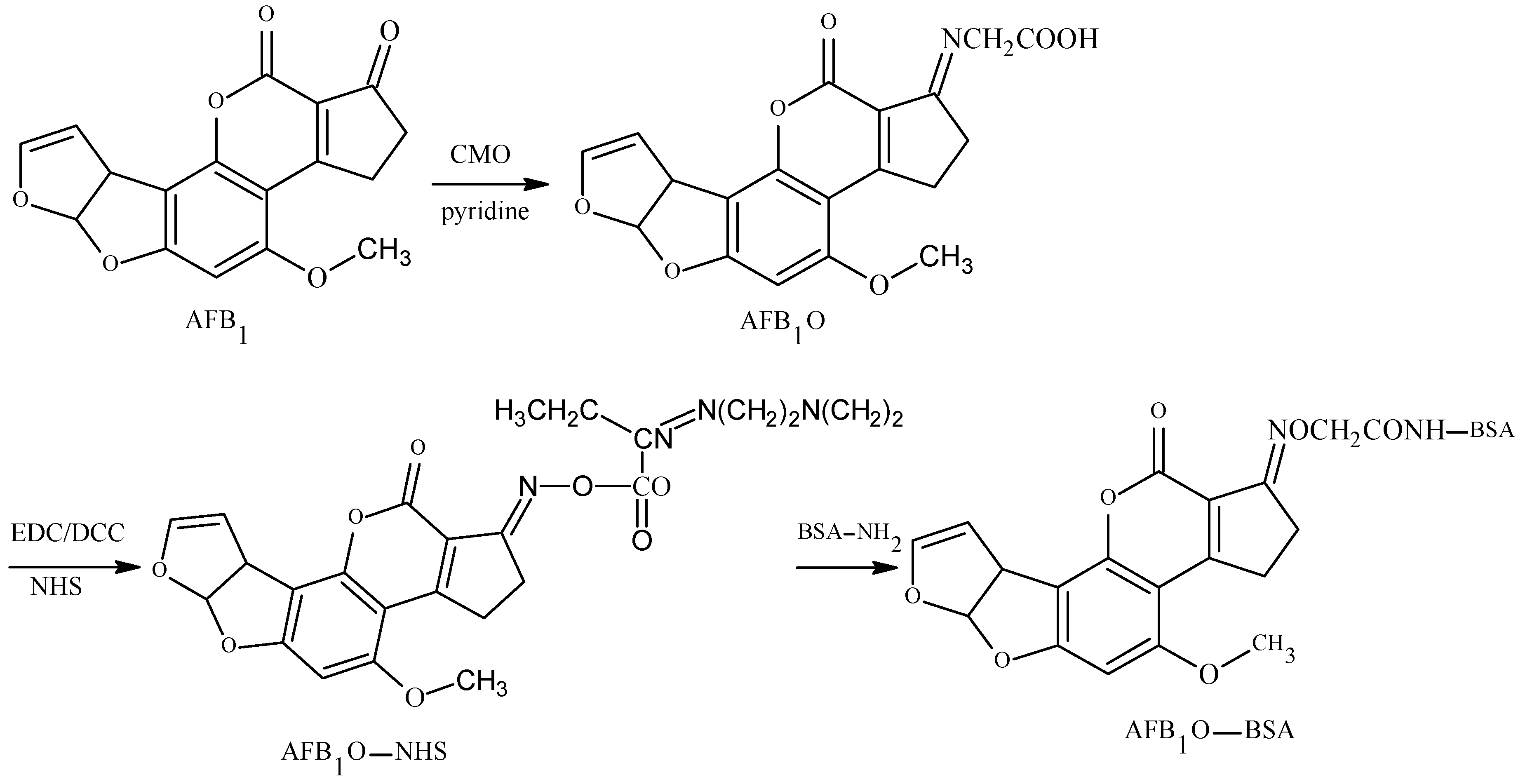 Molecules 25 04113 g002