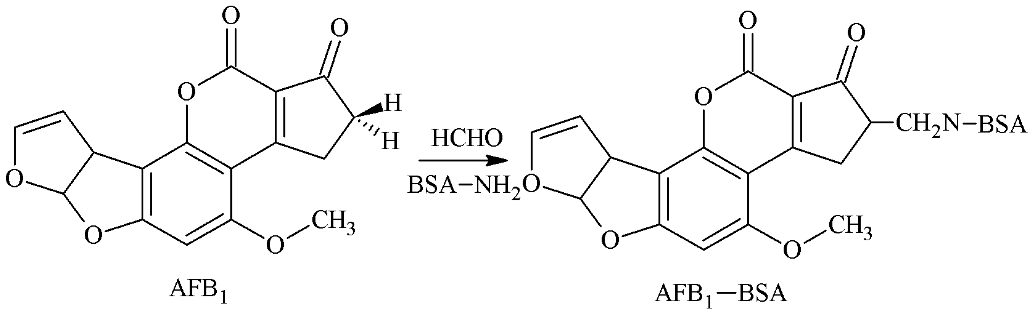Molecules 25 04113 g003