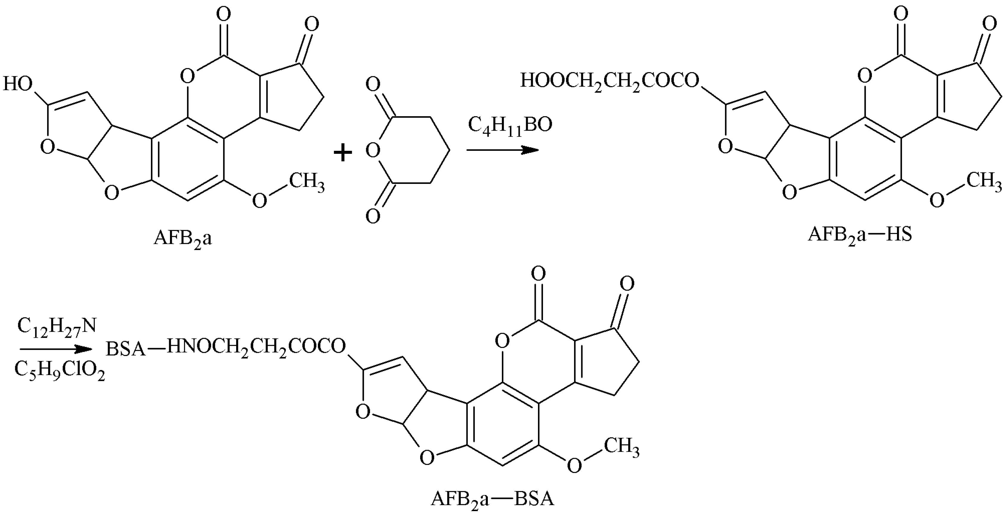Molecules 25 04113 g004