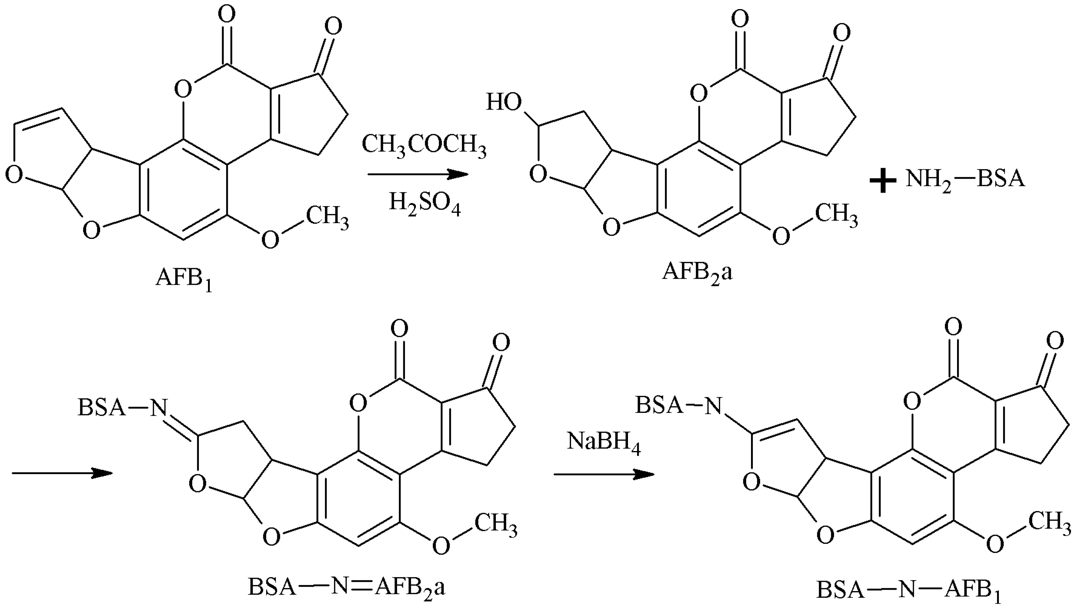 Molecules 25 04113 g005