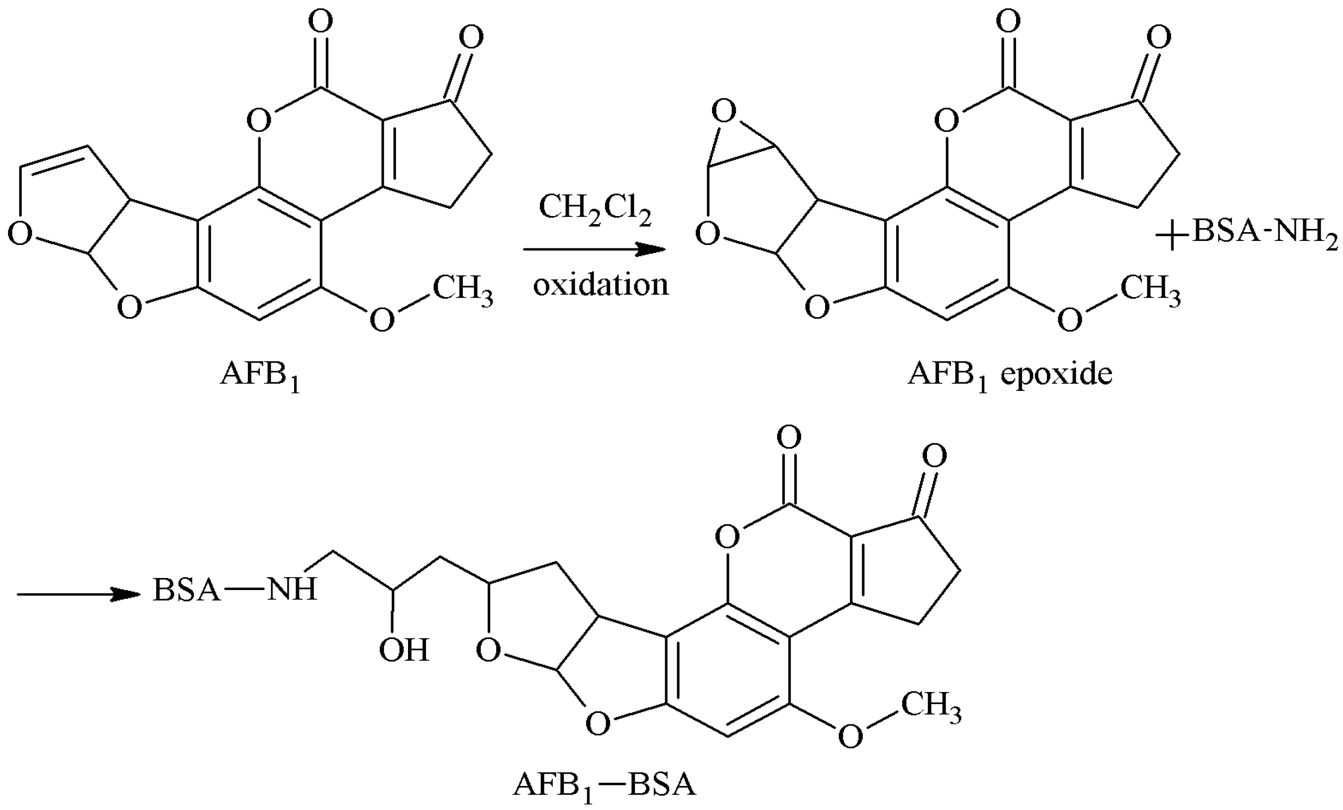 Molecules 25 04113 g006