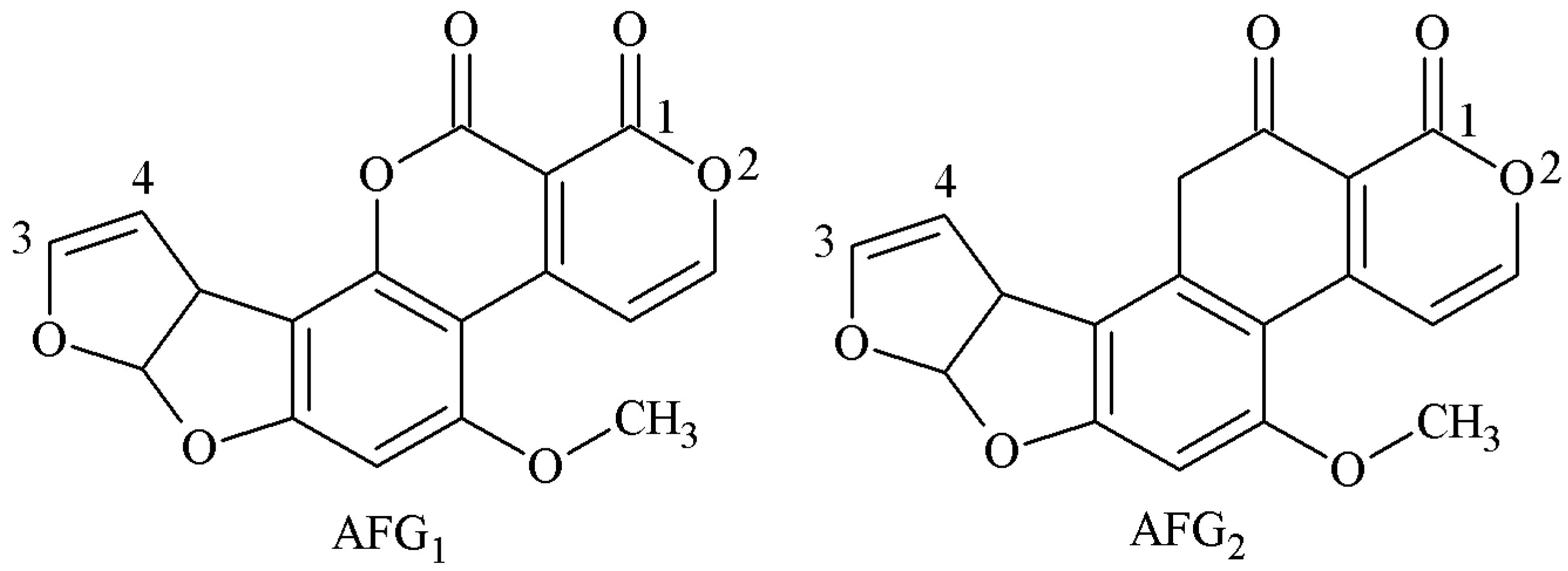 Molecules 25 04113 g008