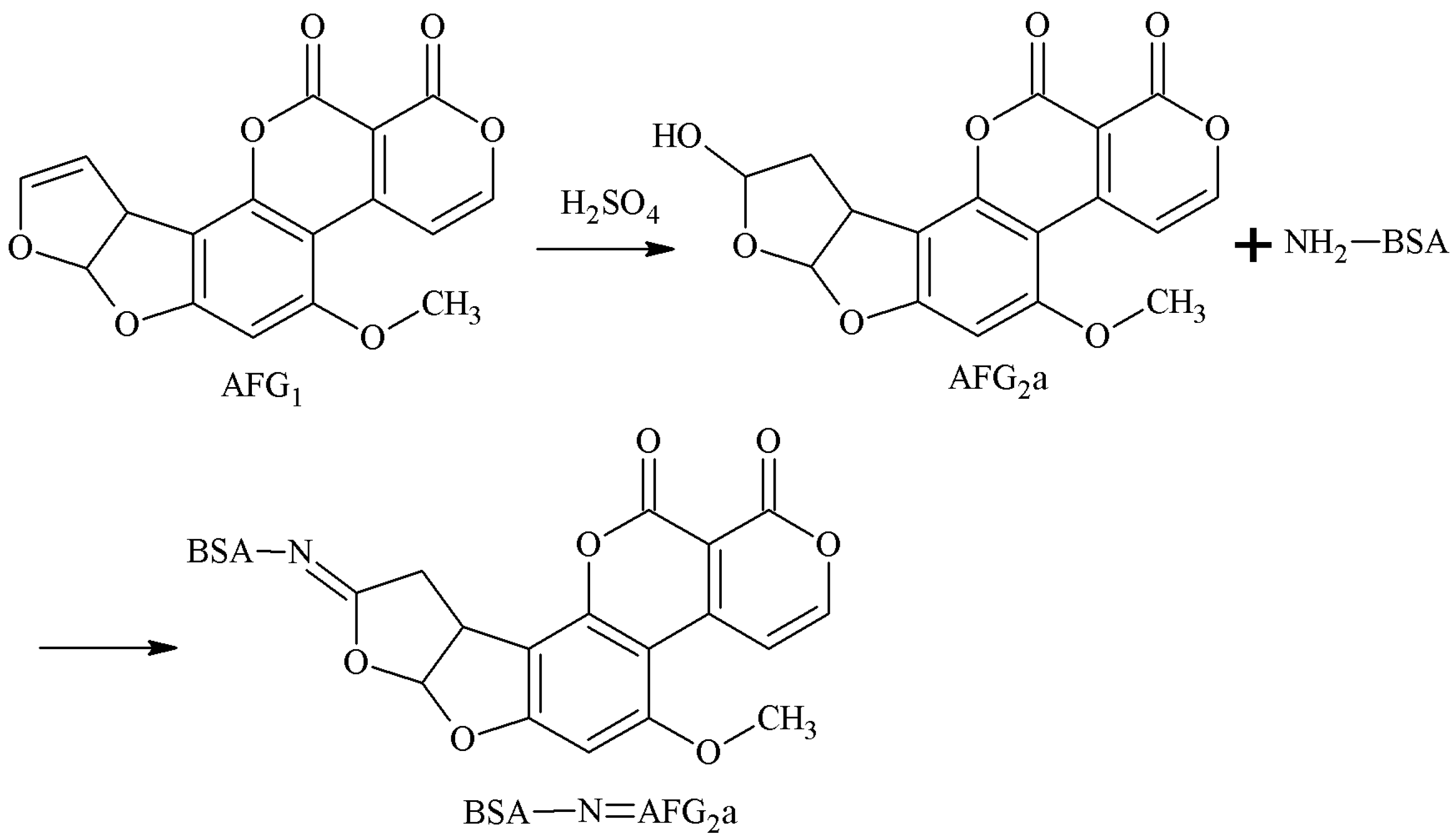 Molecules 25 04113 g009