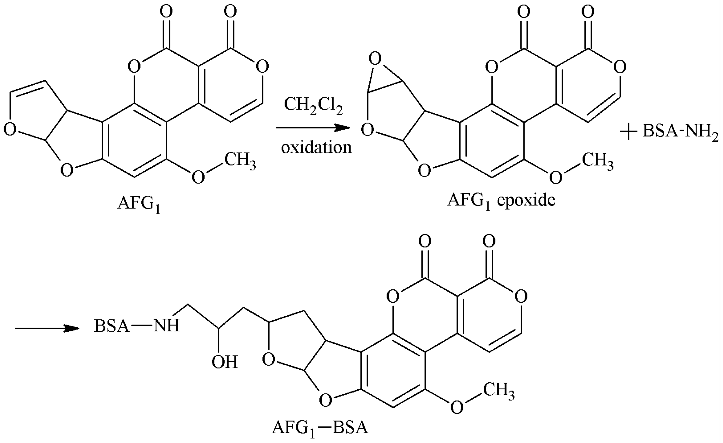 Molecules 25 04113 g010