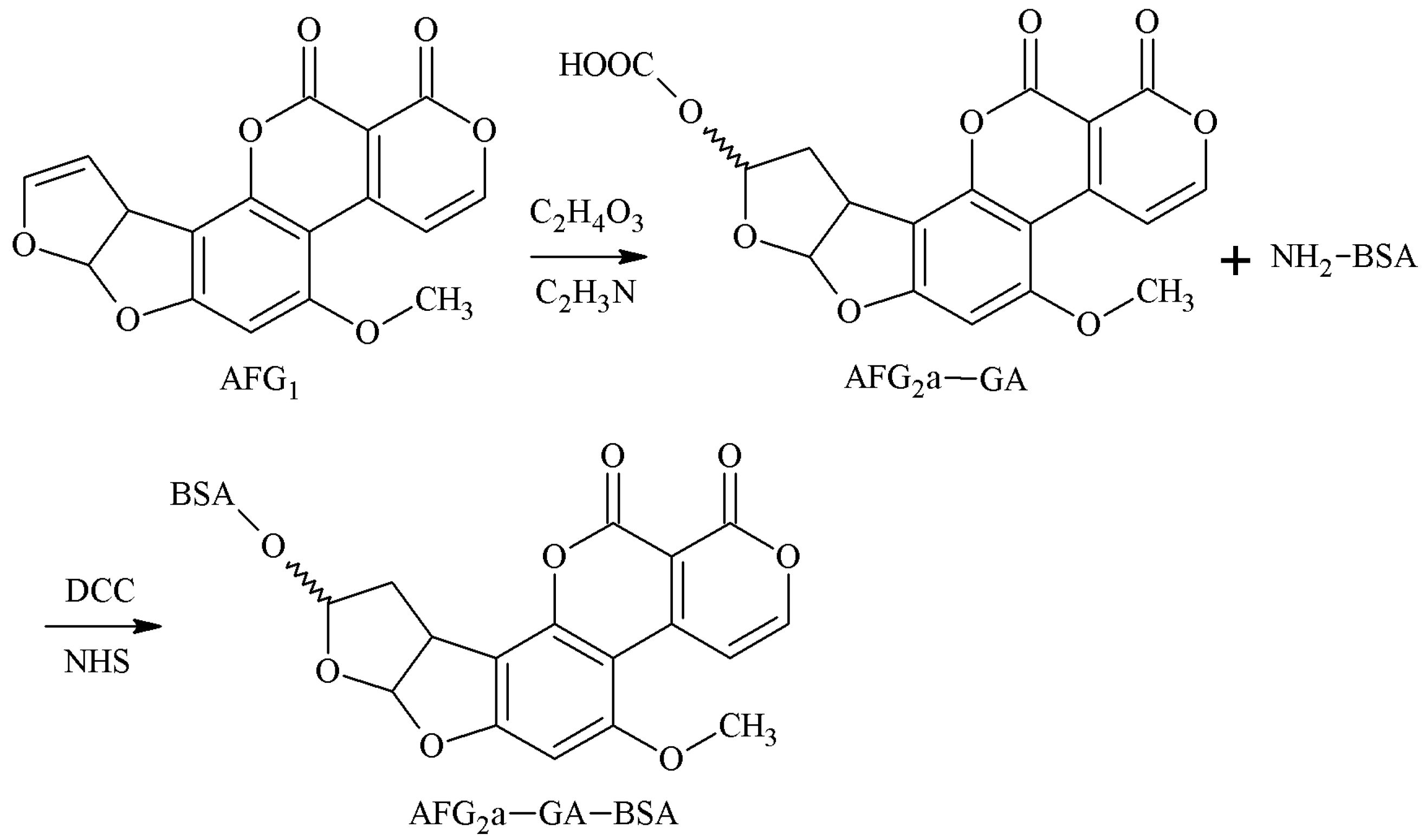 Molecules 25 04113 g011