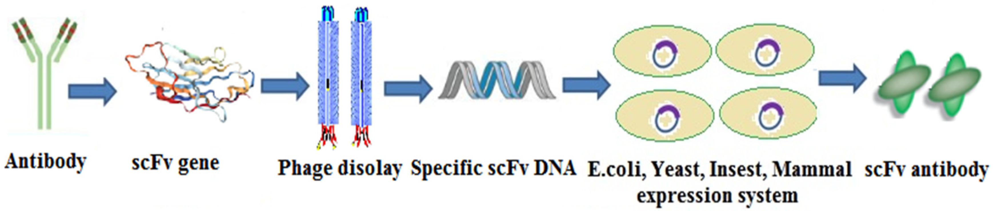 Molecules 25 04113 g012