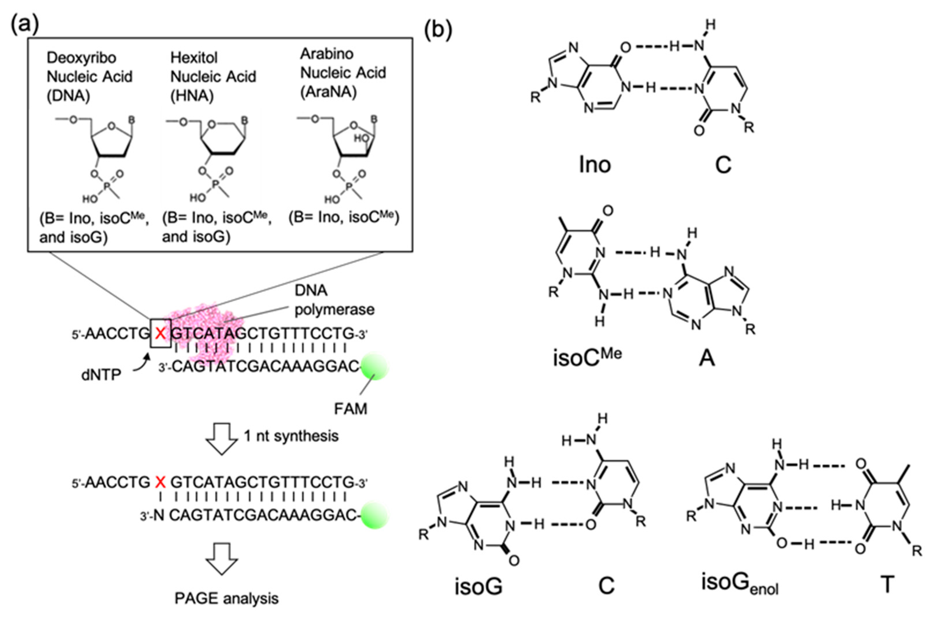 Molecules 25 04120 g001 Molecules 25 04120 g001