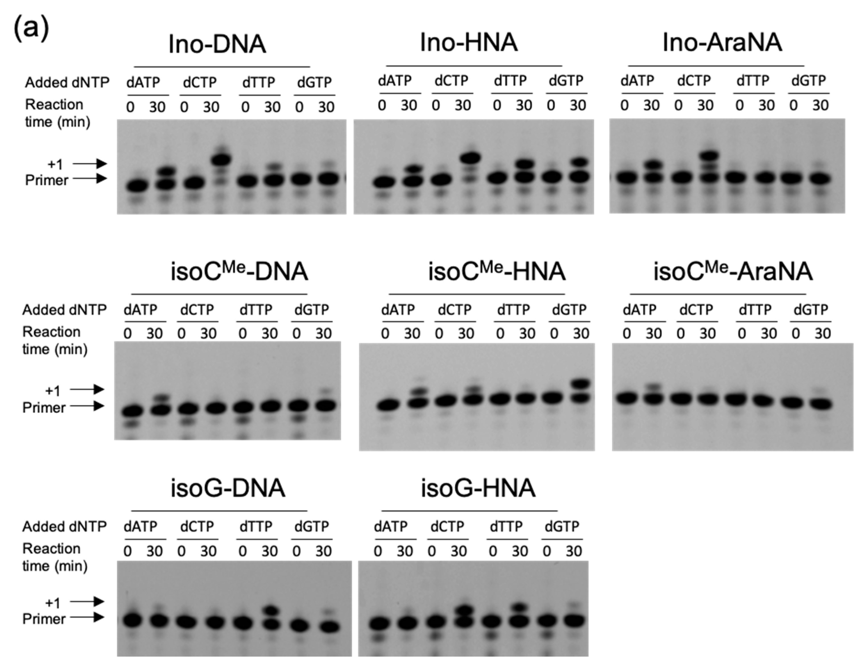 Molecules 25 04120 g002a Molecules 25 04120 g002a