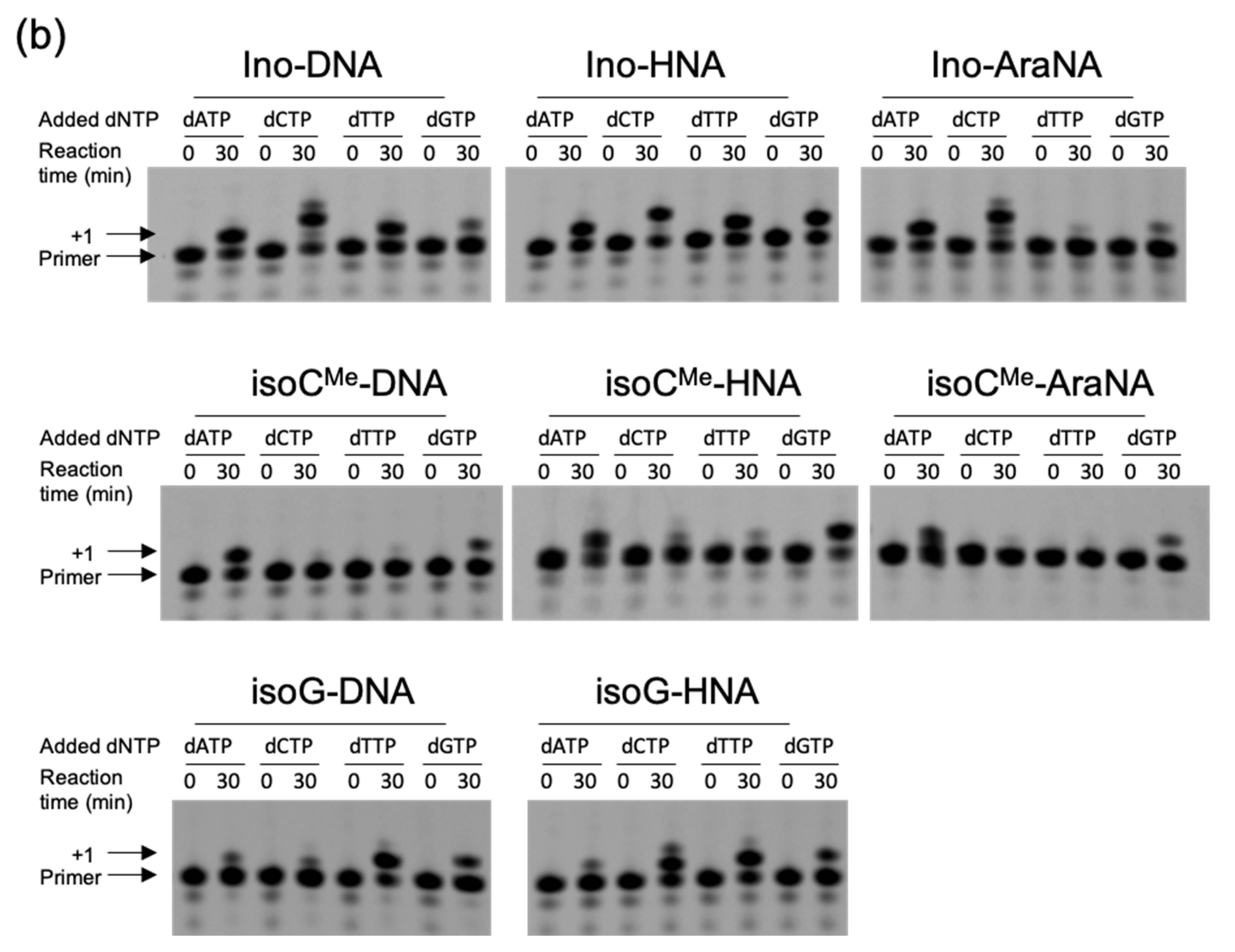 Molecules 25 04120 g002b Molecules 25 04120 g002b