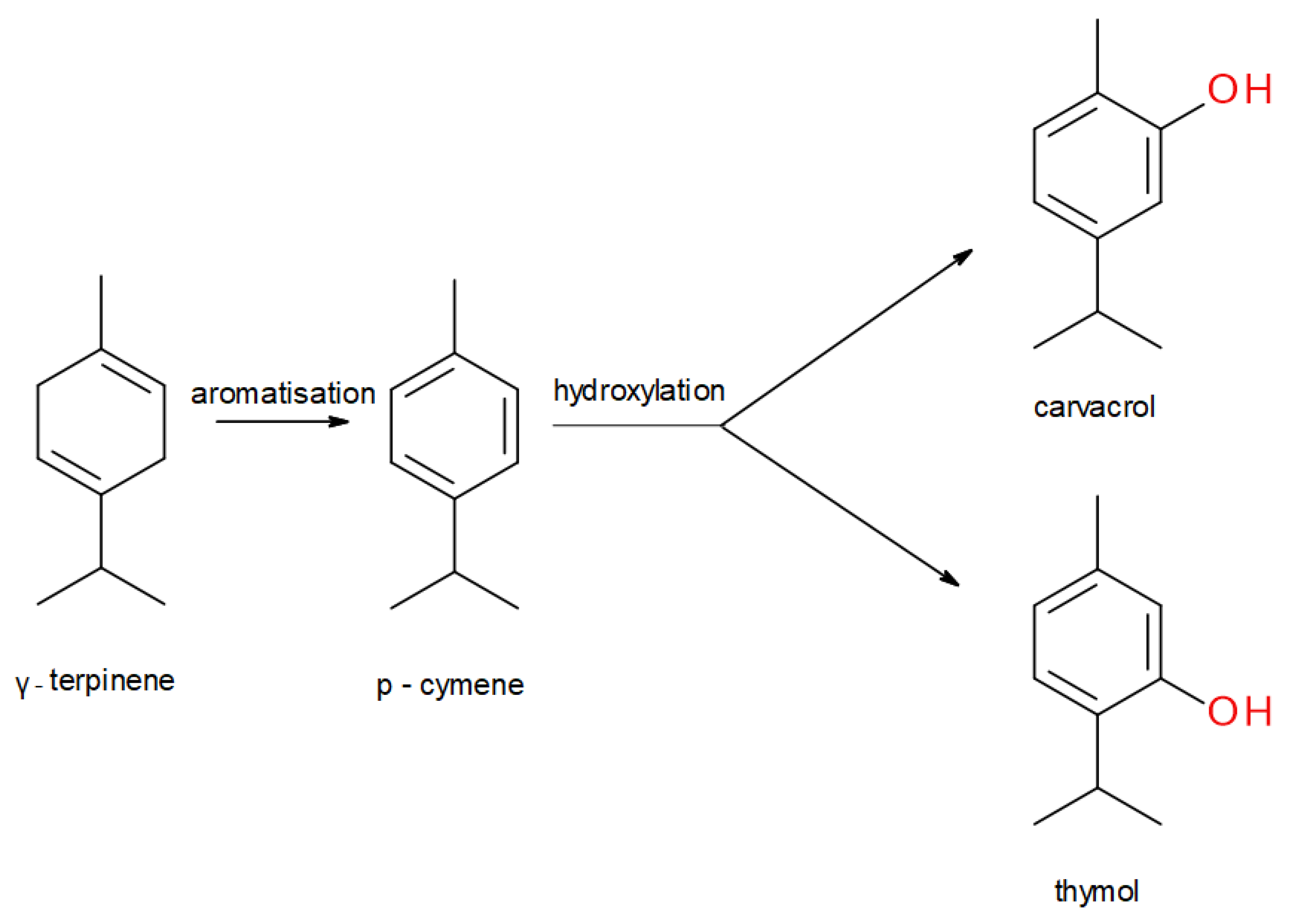 Molecules 25 04125 g001