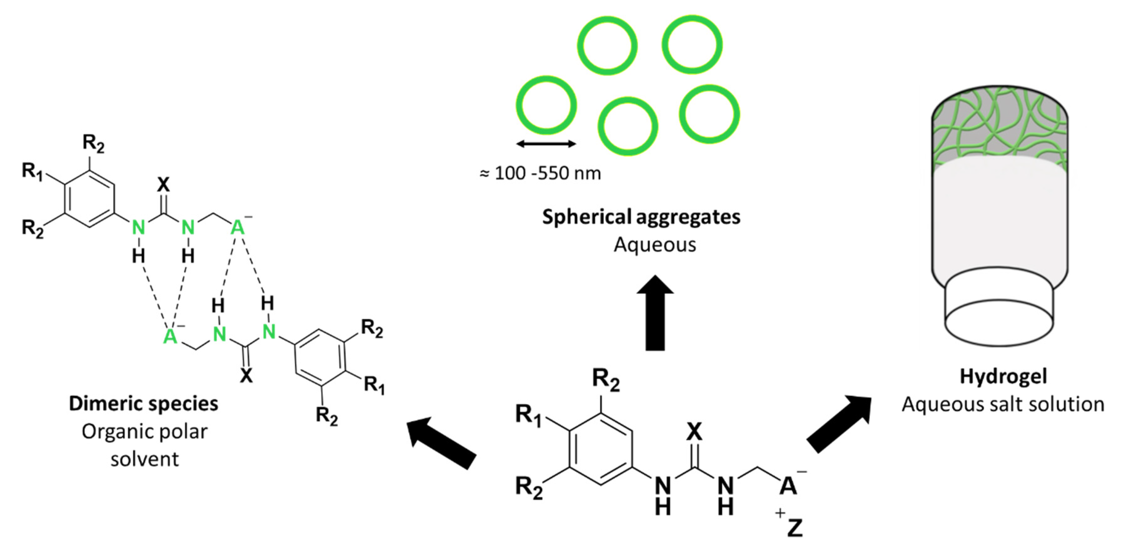 Molecules 25 04126 g001