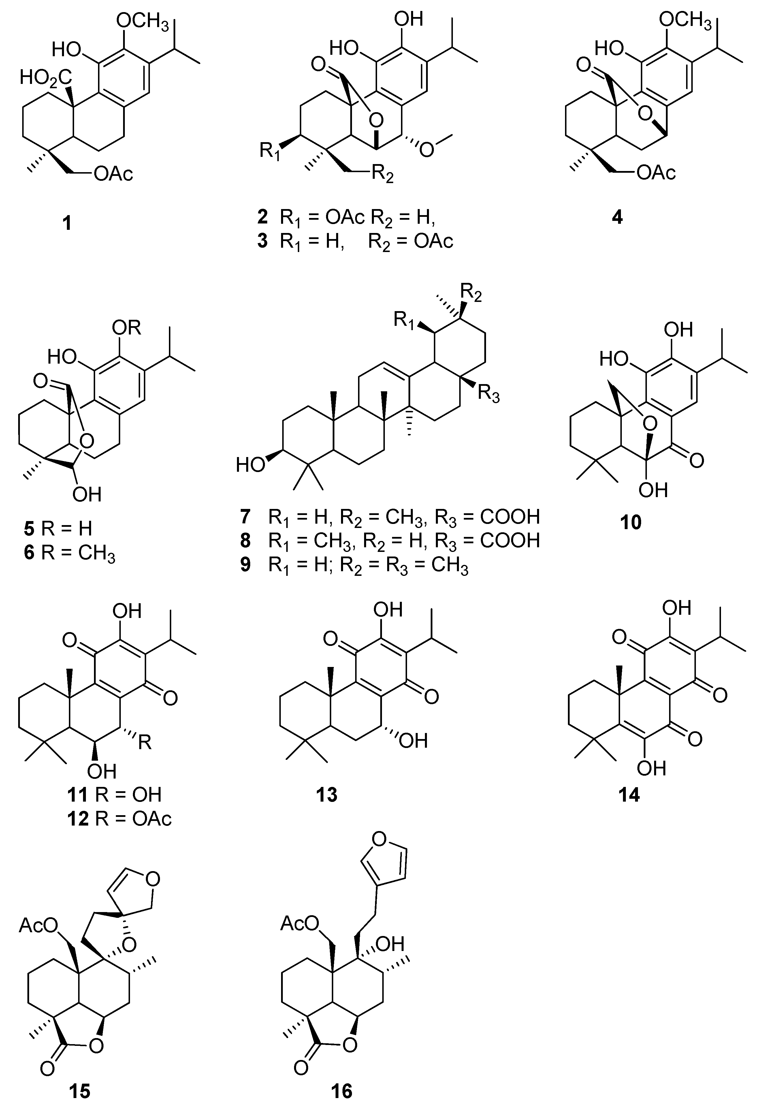 Molecules 25 04129 g001