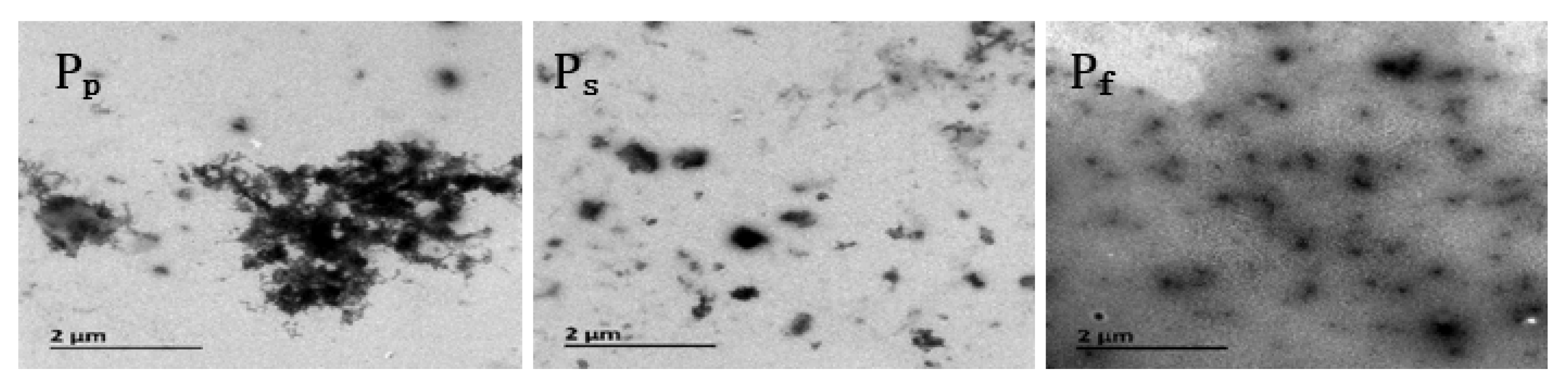 Molecules 25 04135 g003 Molecules 25 04135 g003