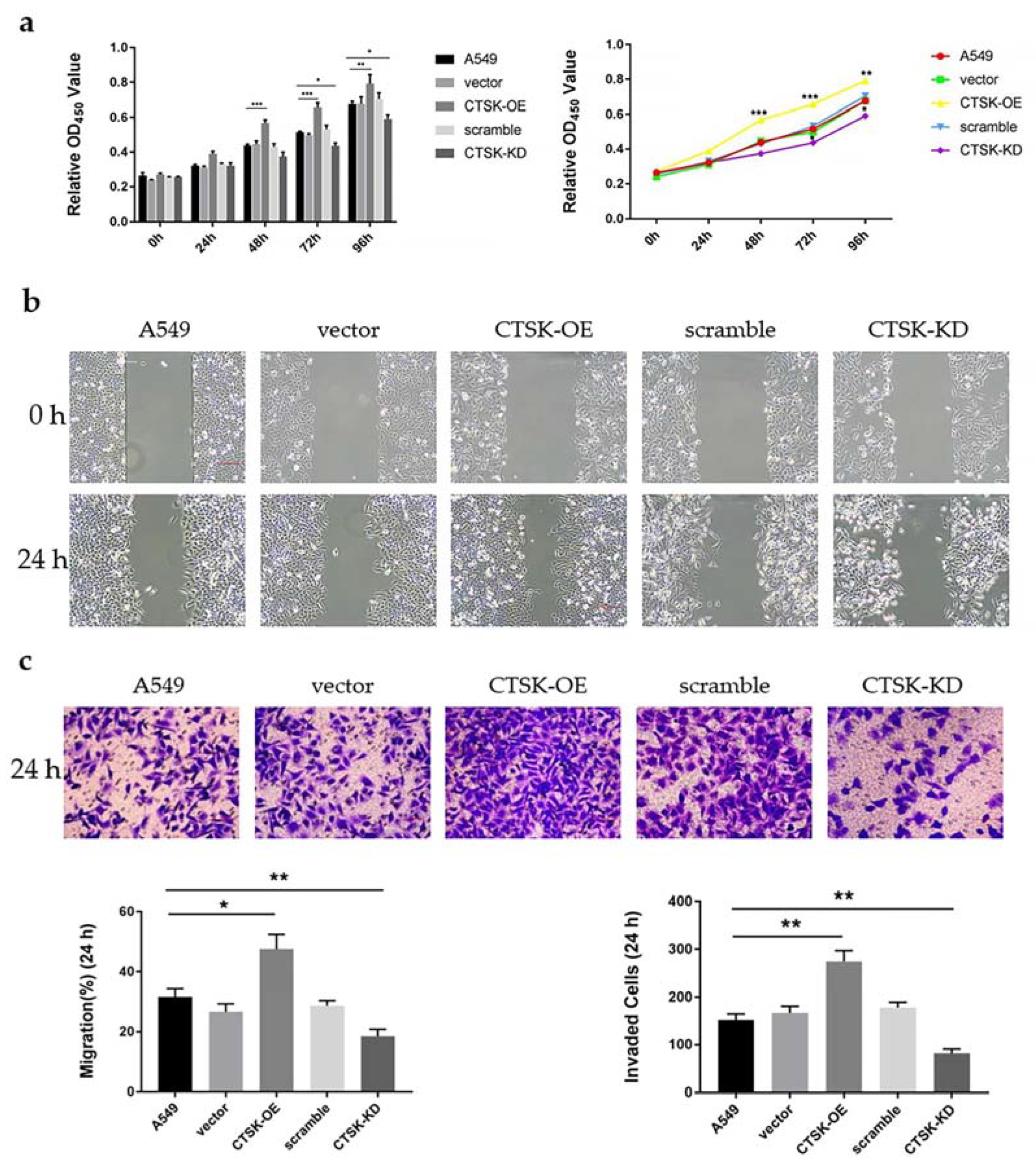 Molecules 25 04136 g003