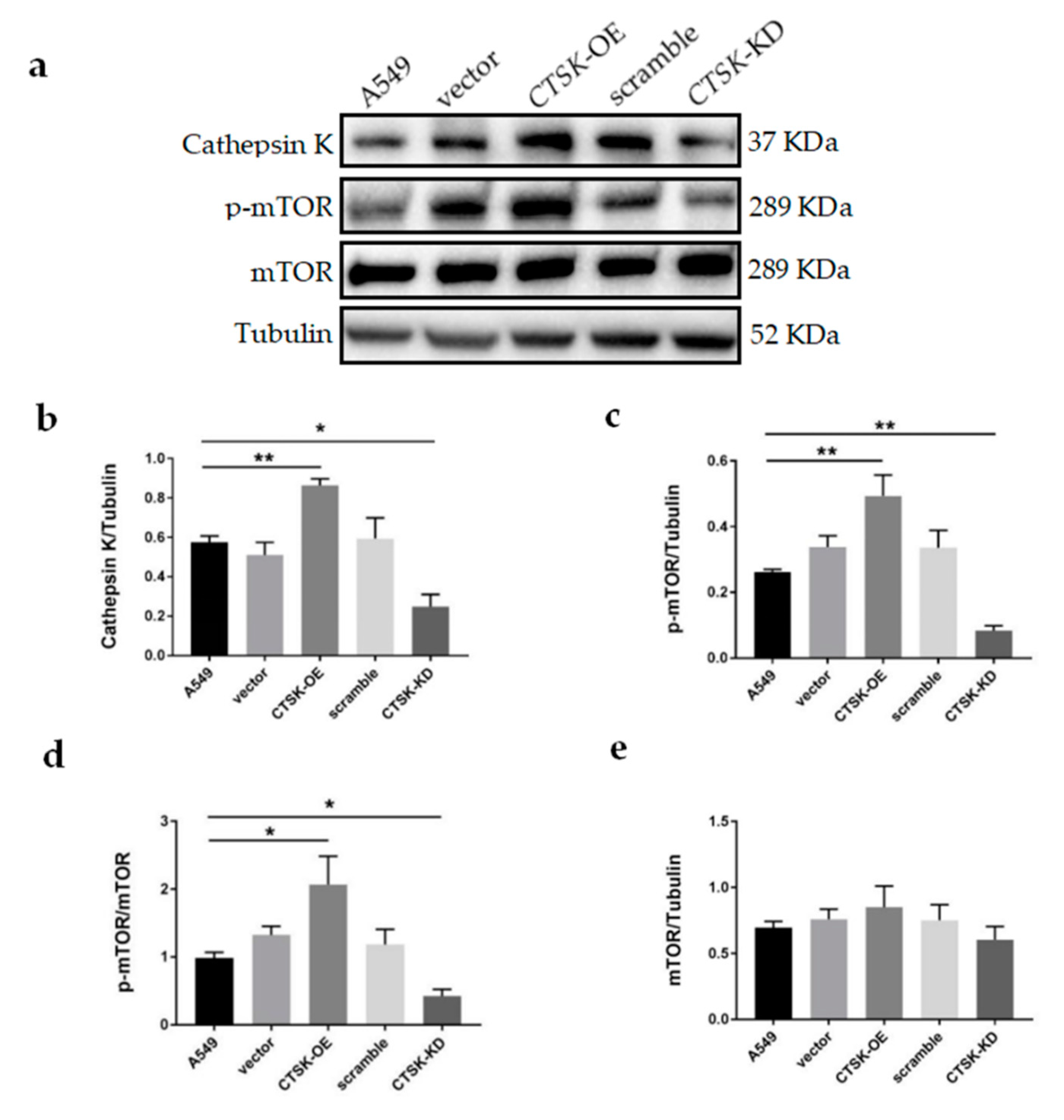 Molecules 25 04136 g004