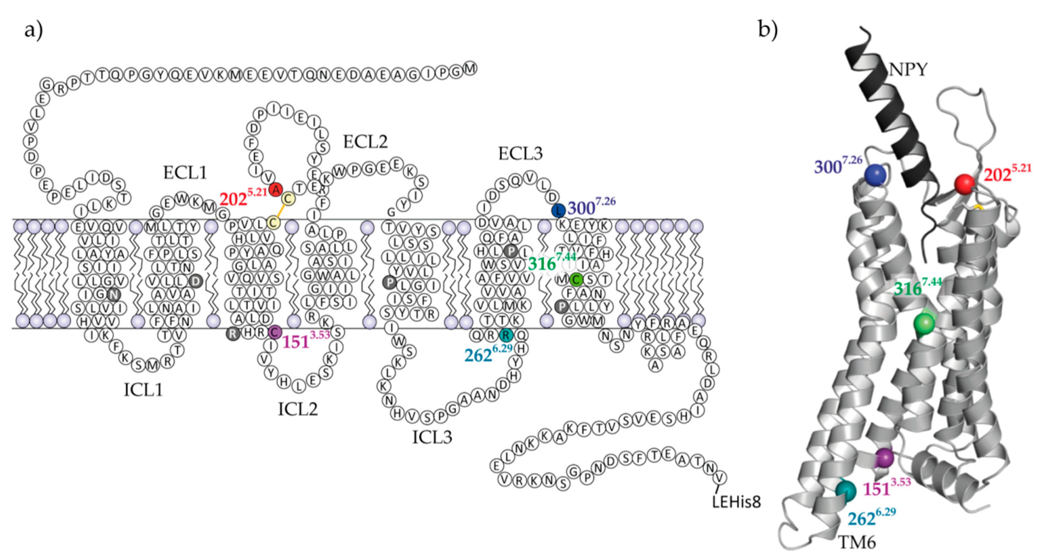 Molecules 25 04143 g001