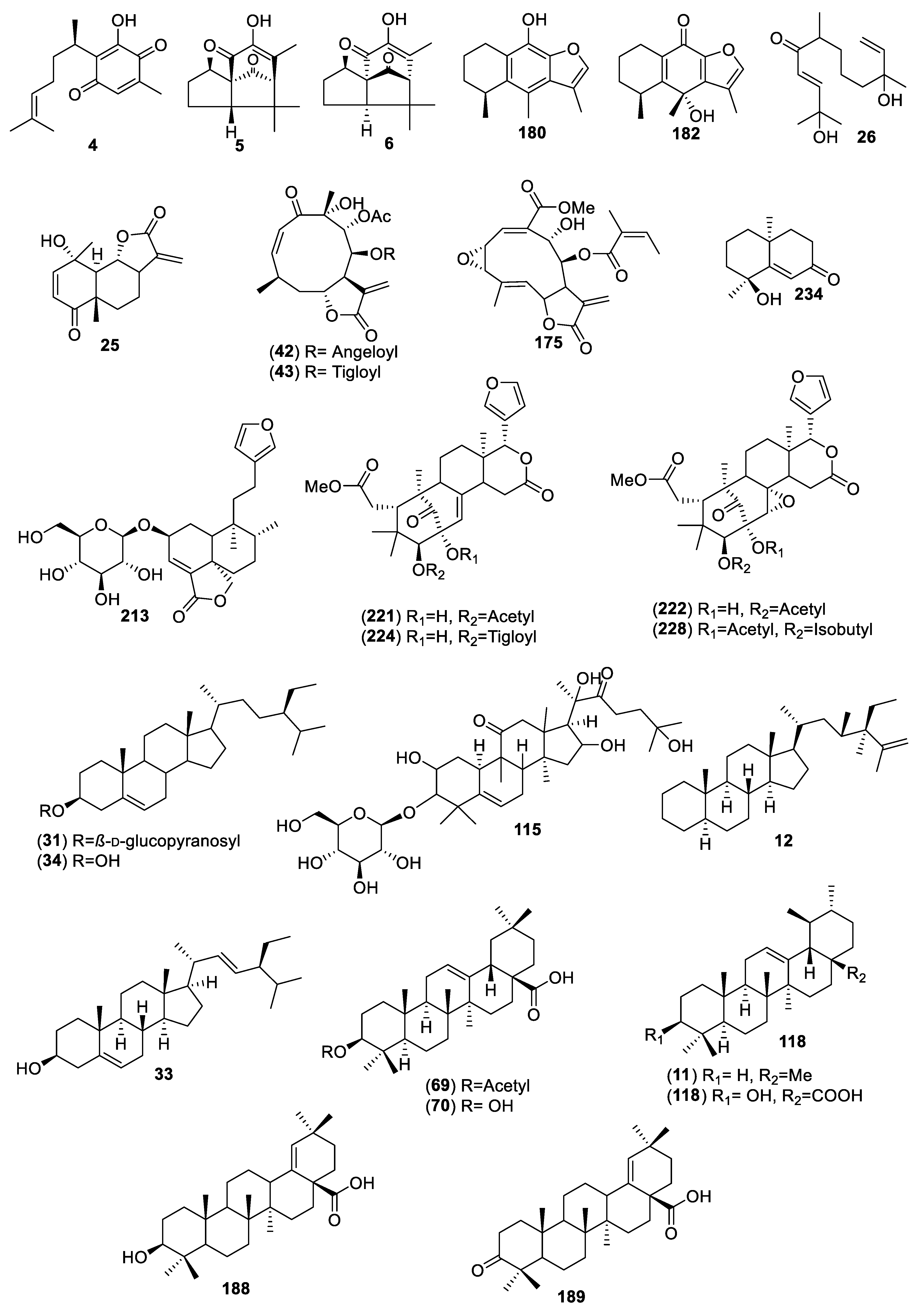 Molecules 25 04145 g003