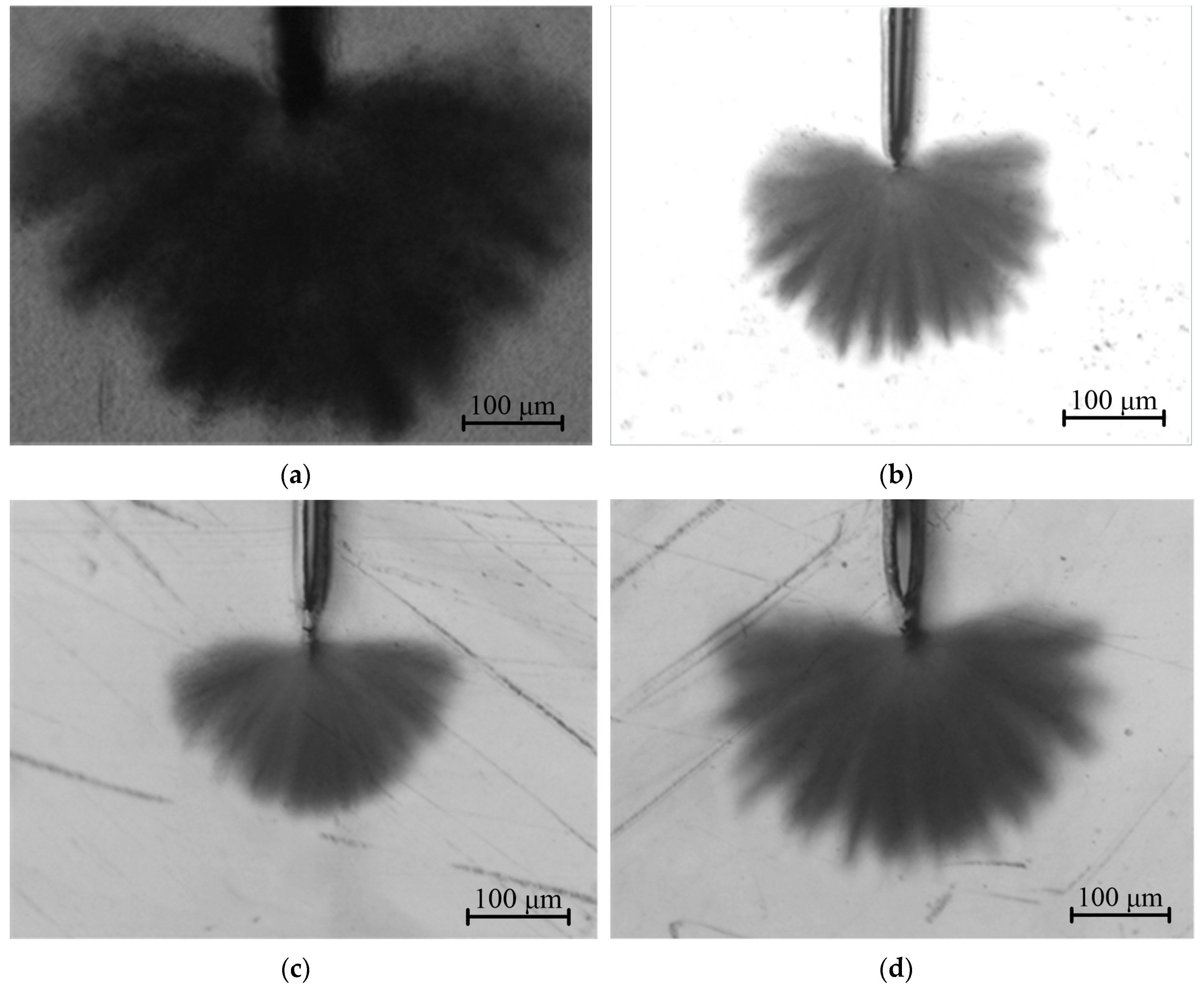 Molecules 25 04147 g001