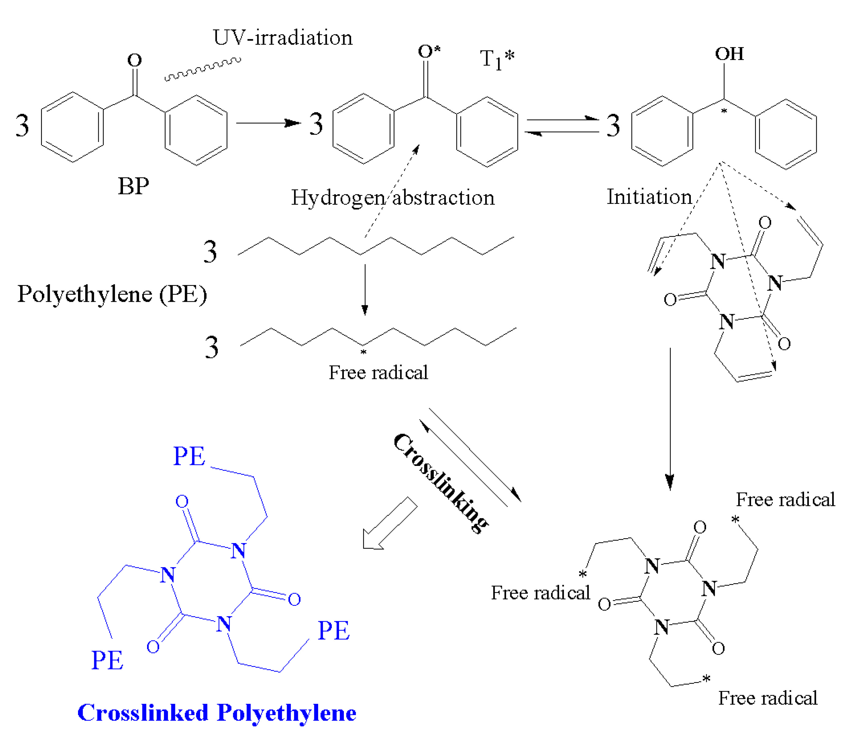 Molecules 25 04147 g008