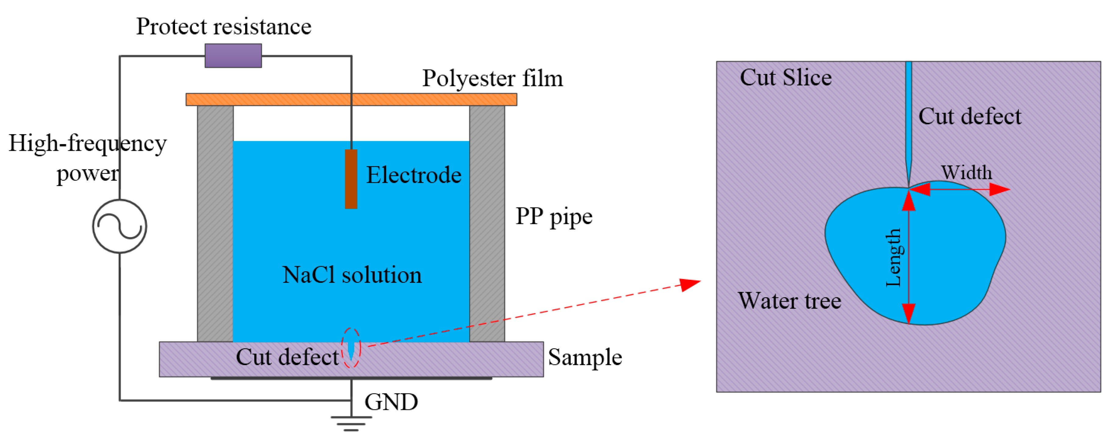 Molecules 25 04147 g009