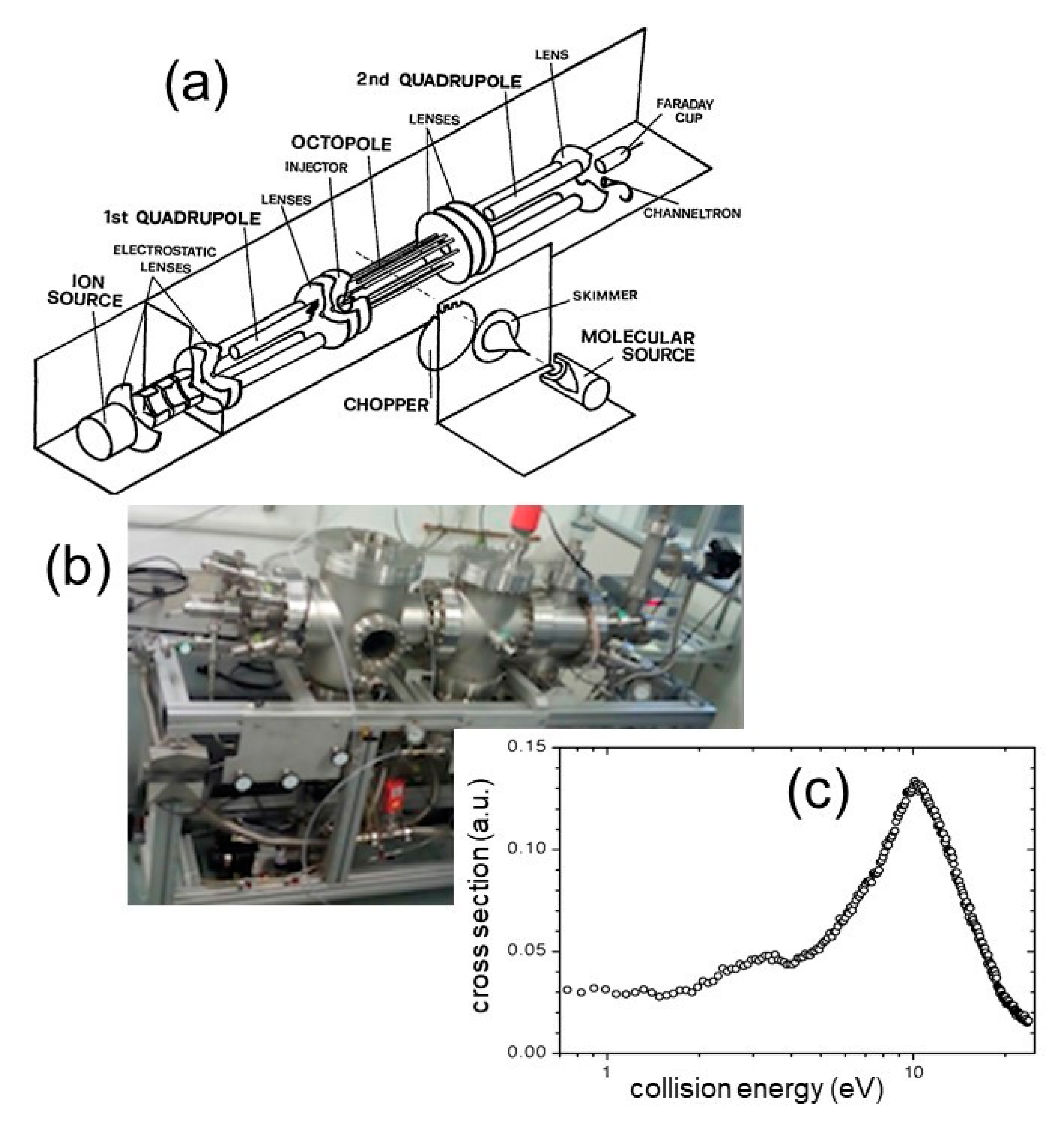 Molecules 25 04157 g004 Molecules 25 04157 g004