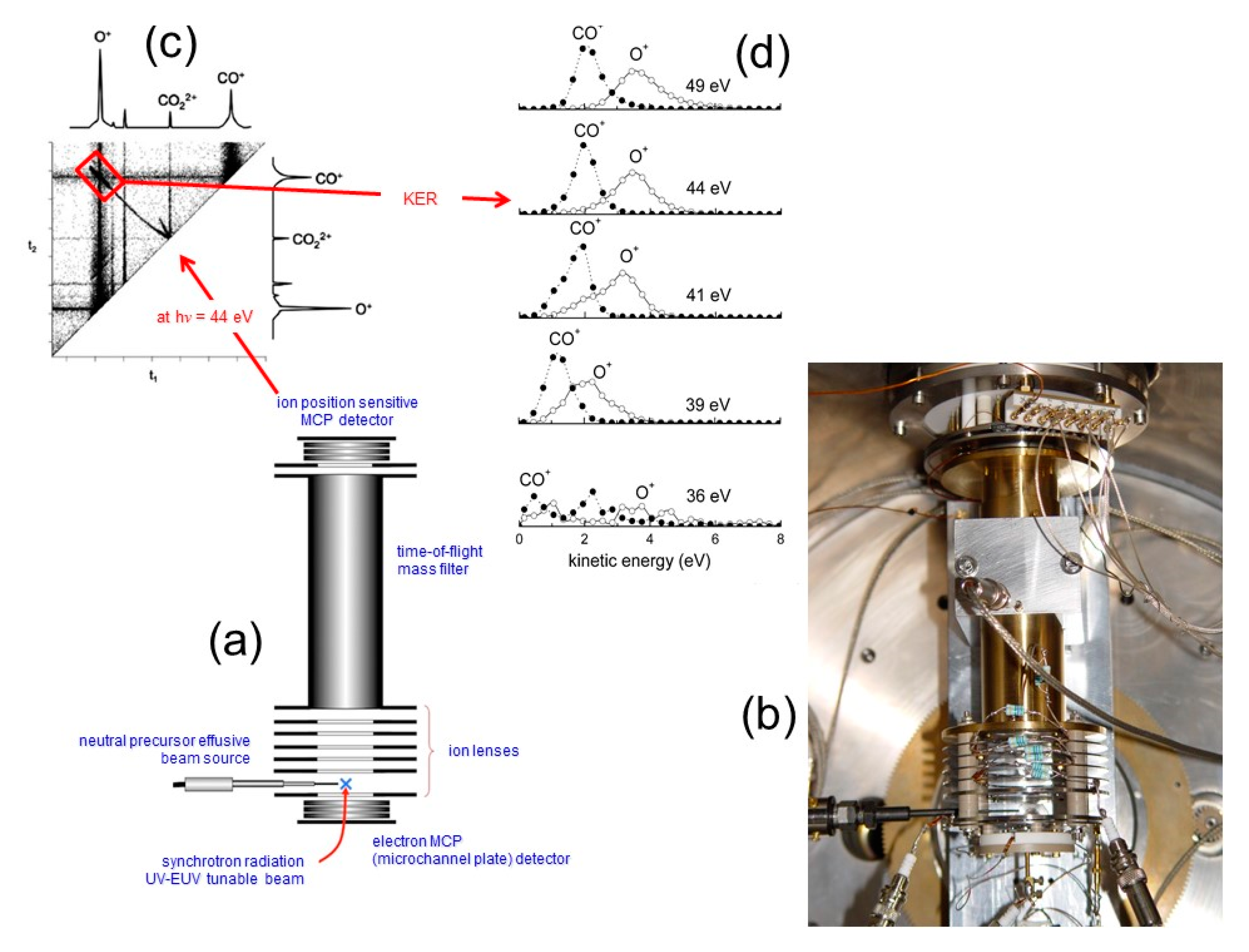 Molecules 25 04157 g006 Molecules 25 04157 g006