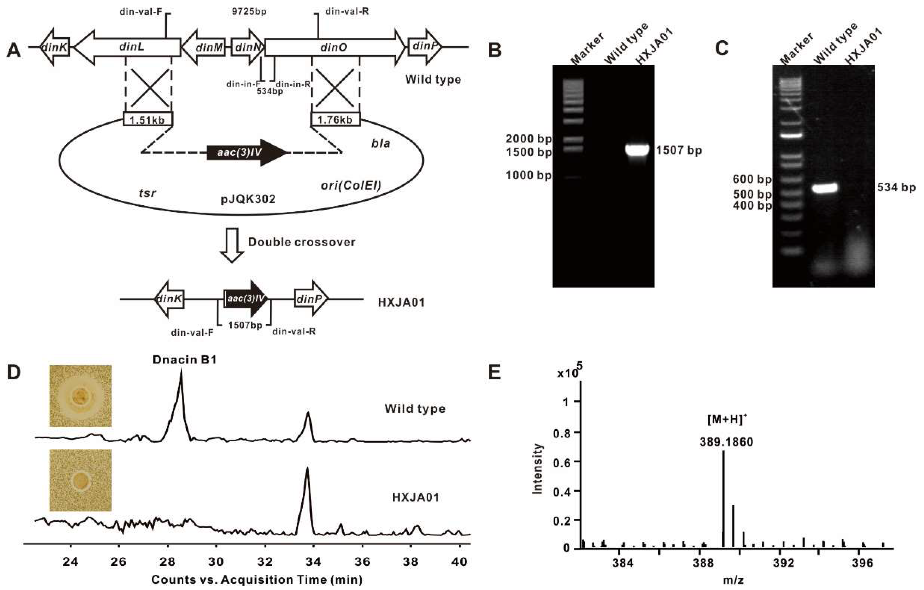 Molecules 25 04186 g002