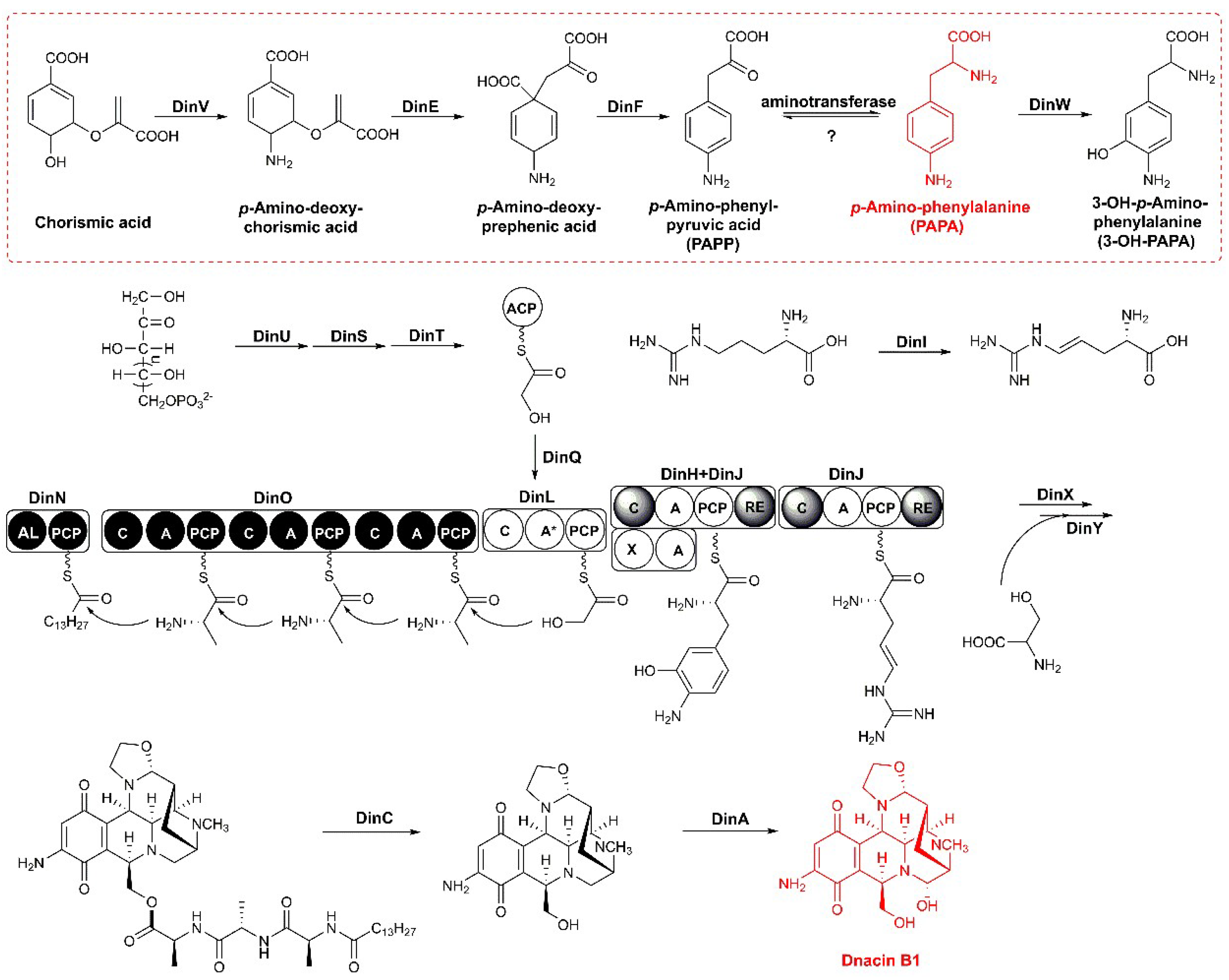 Molecules 25 04186 g003