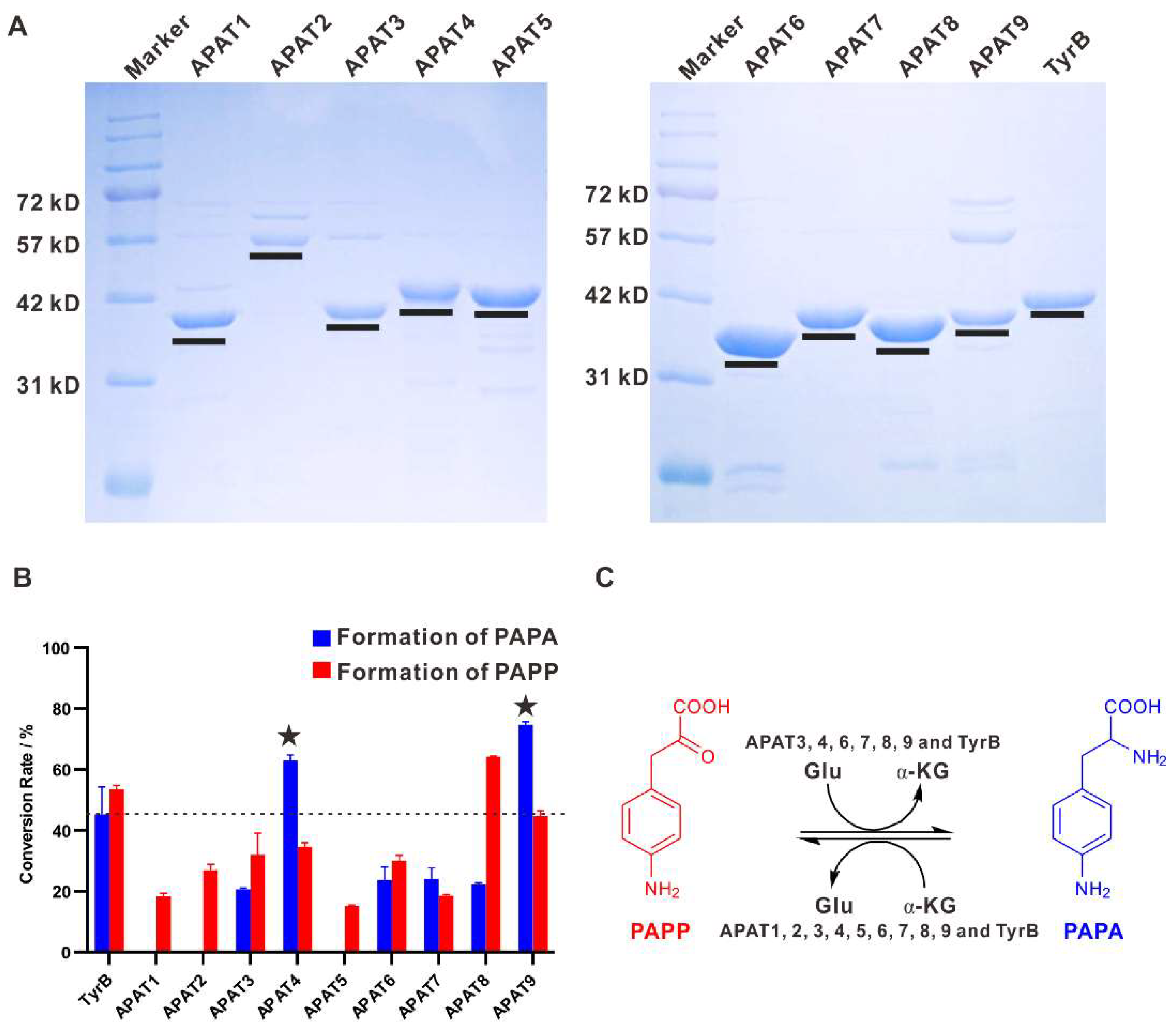 Molecules 25 04186 g005