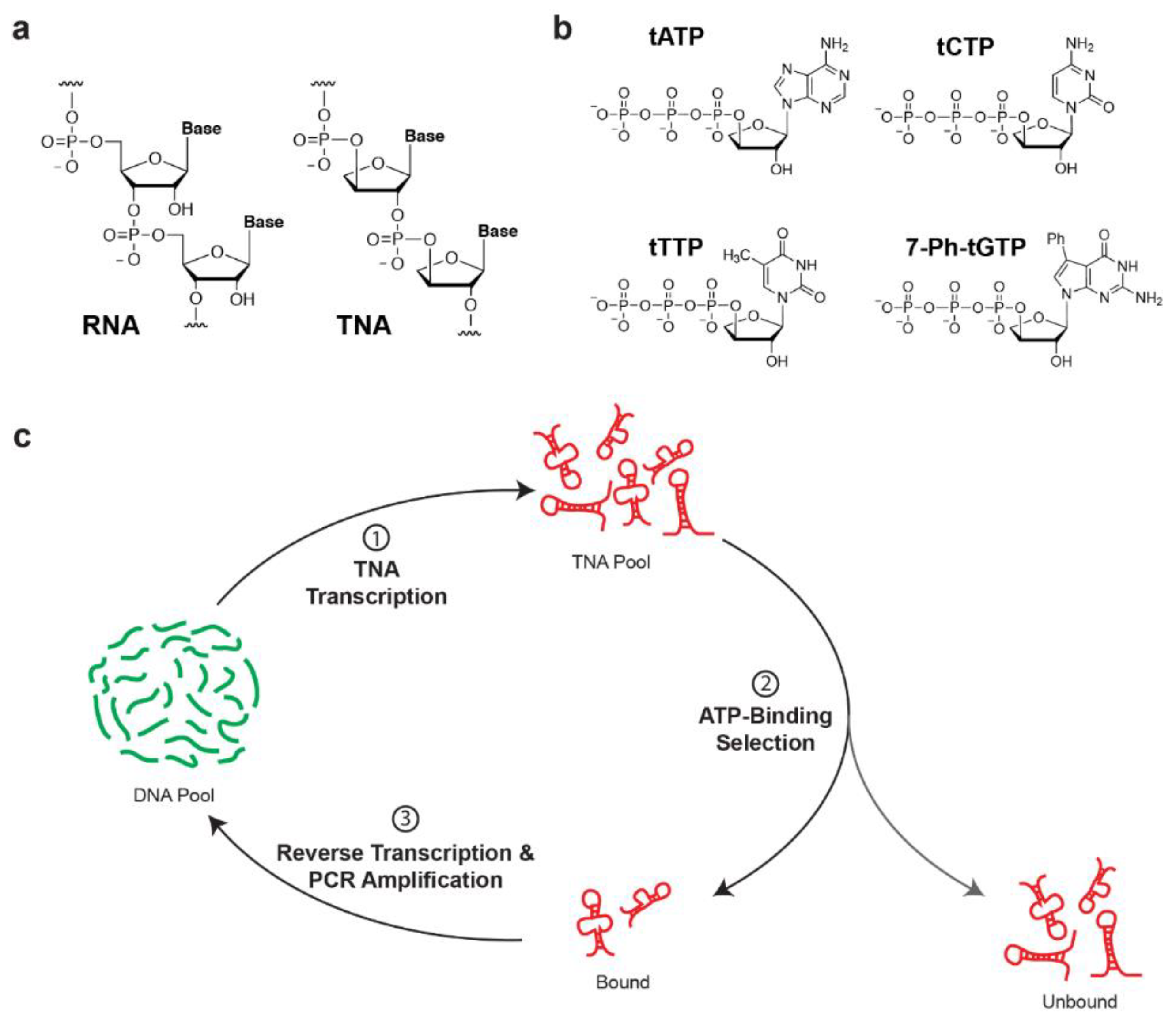 Molecules 25 04194 g001