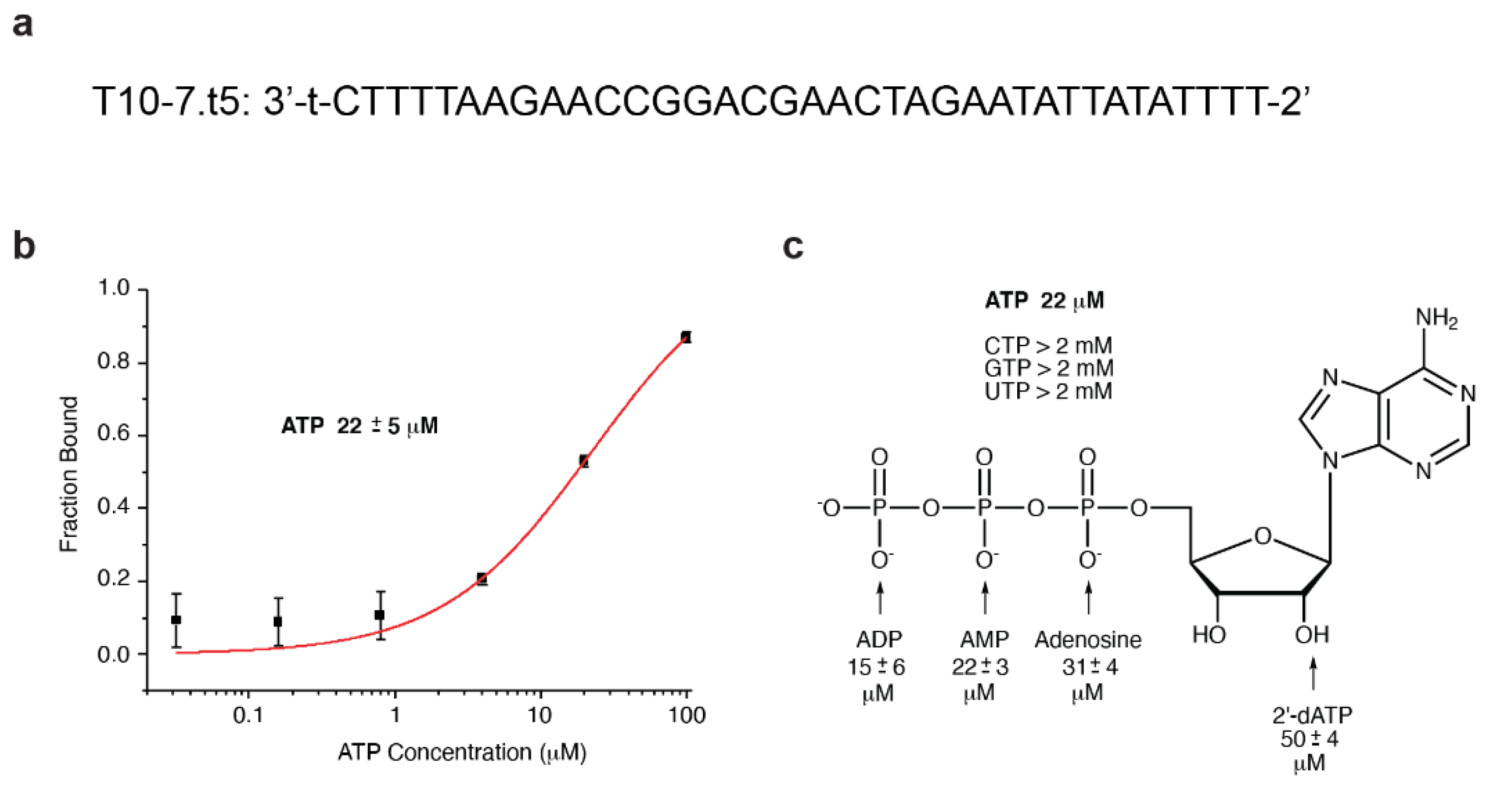Molecules 25 04194 g003