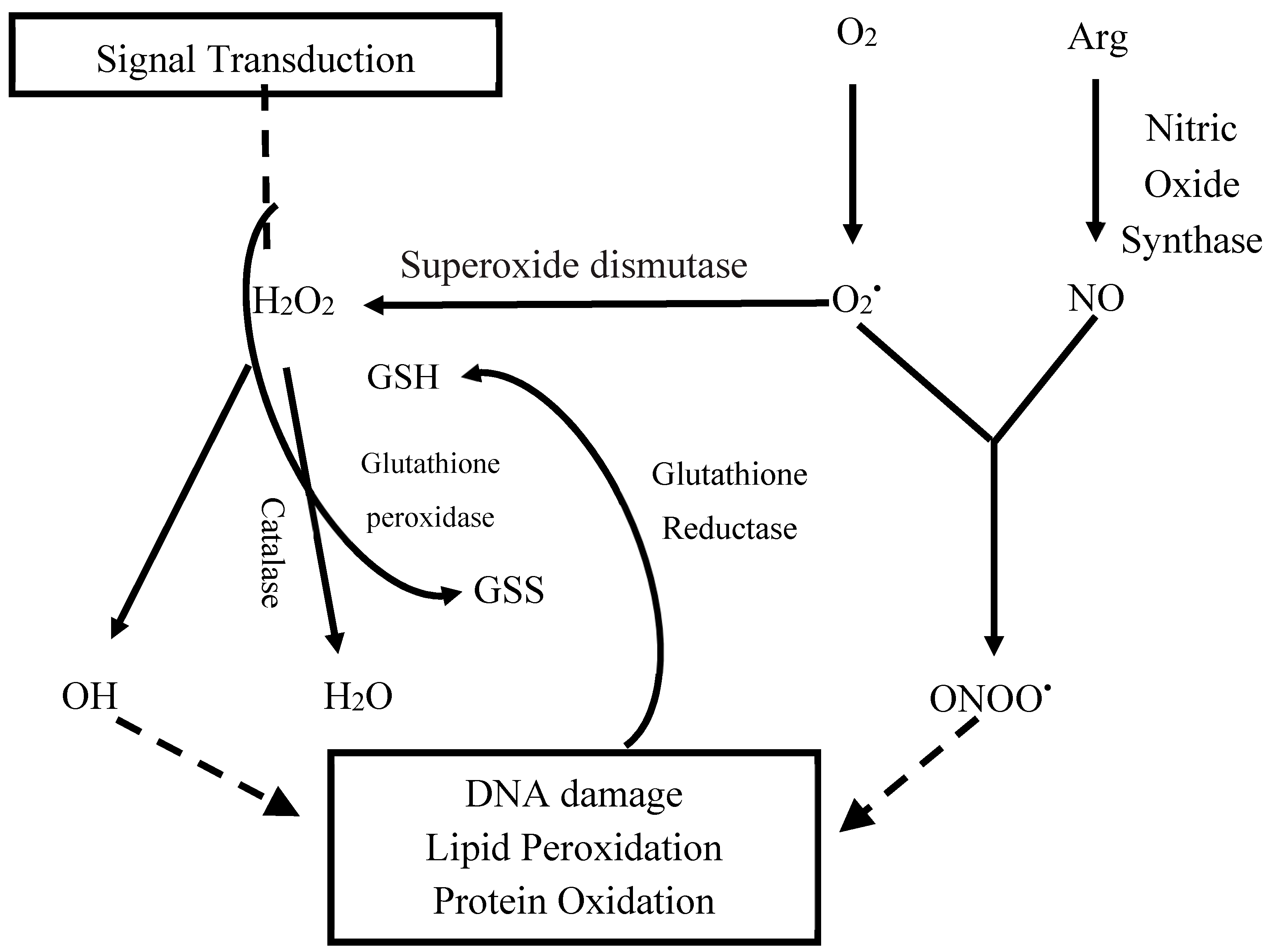 Molecules 25 04196 g001 Molecules 25 04196 g001